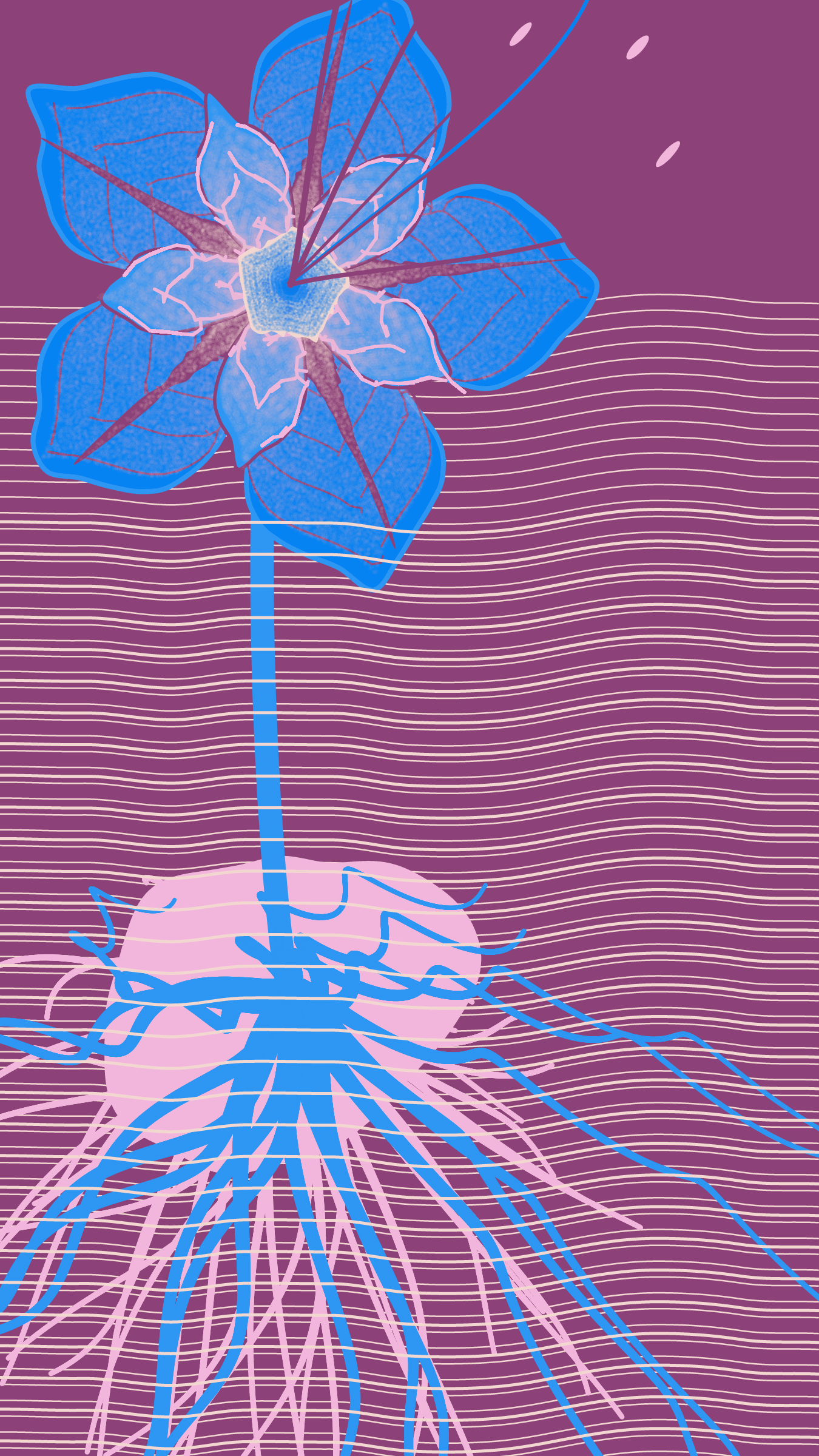 Underwater #20000064