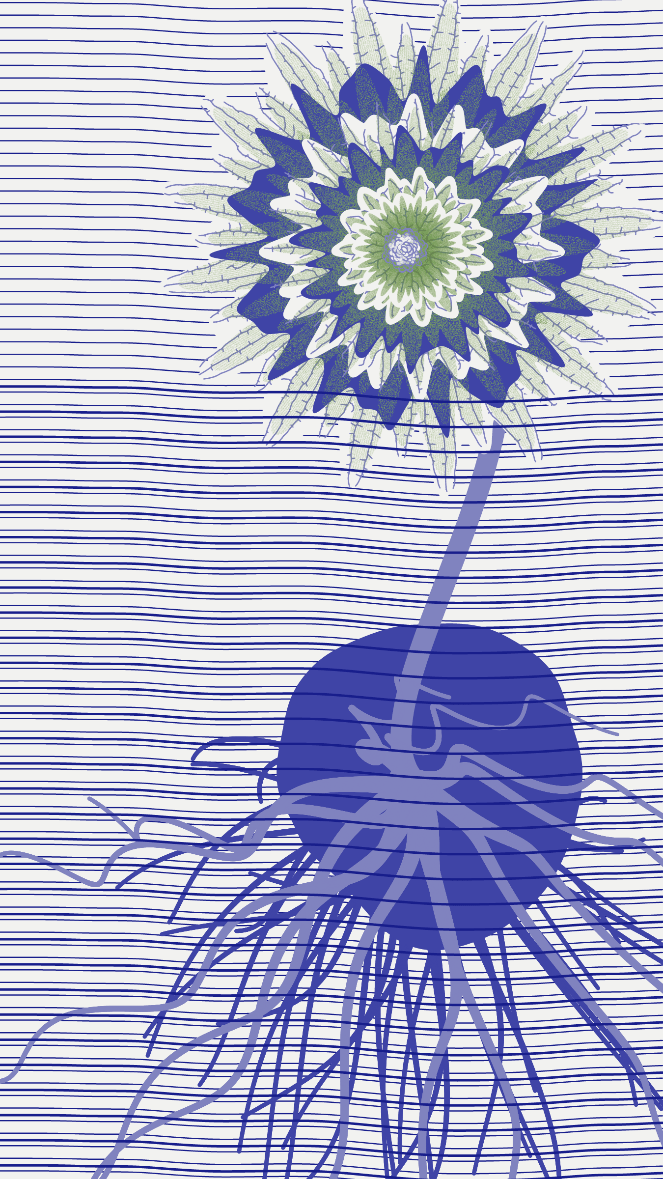 Underwater #20000066