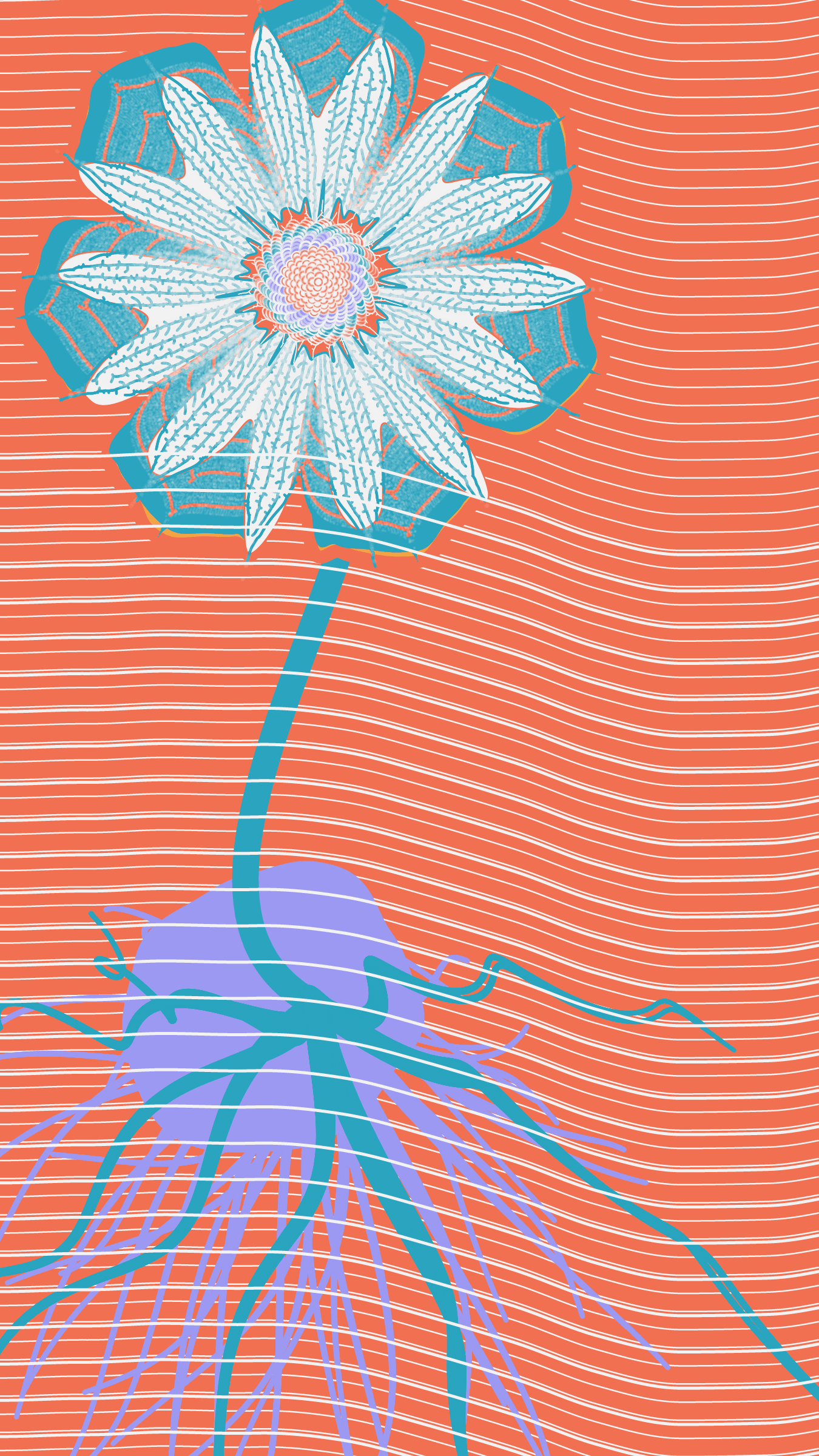 Underwater #20000069