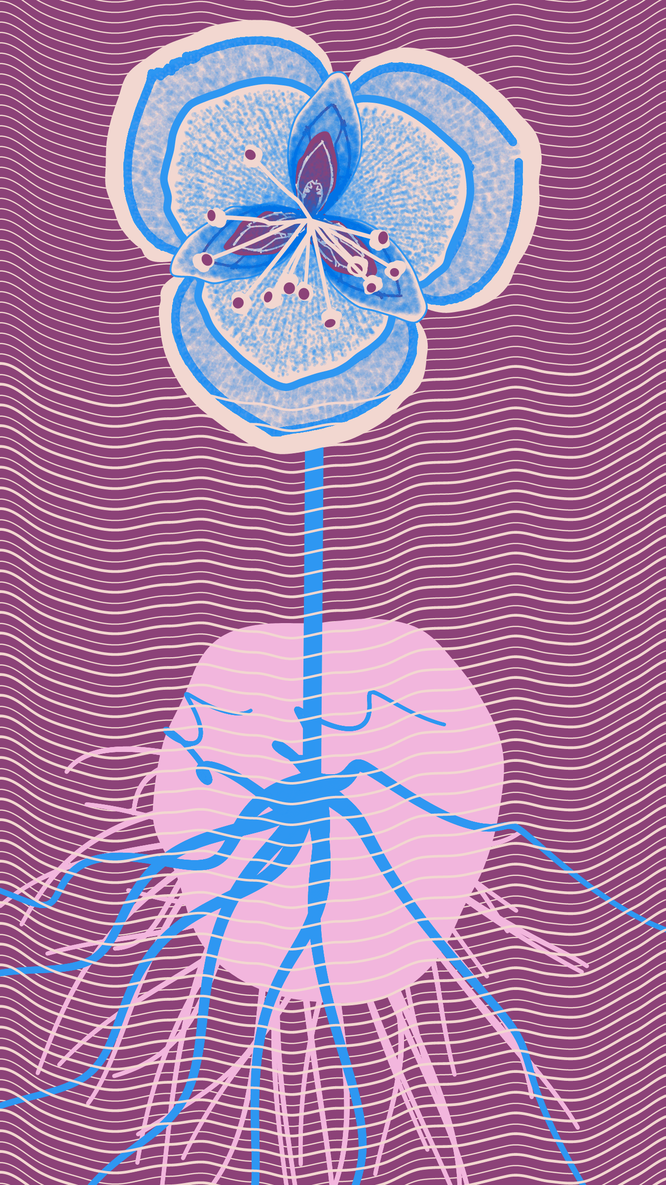 Underwater #20000071