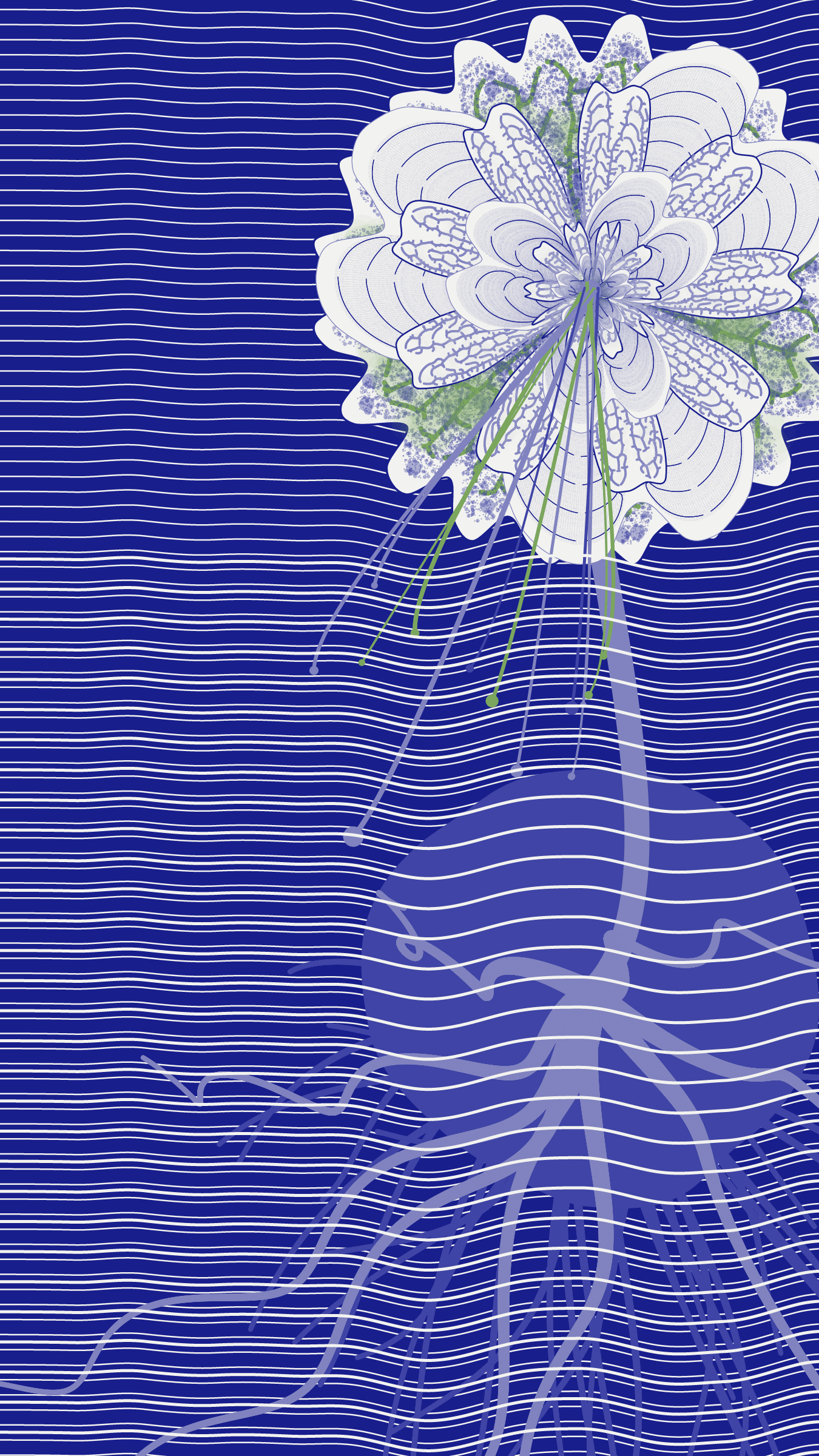 Underwater #20000073