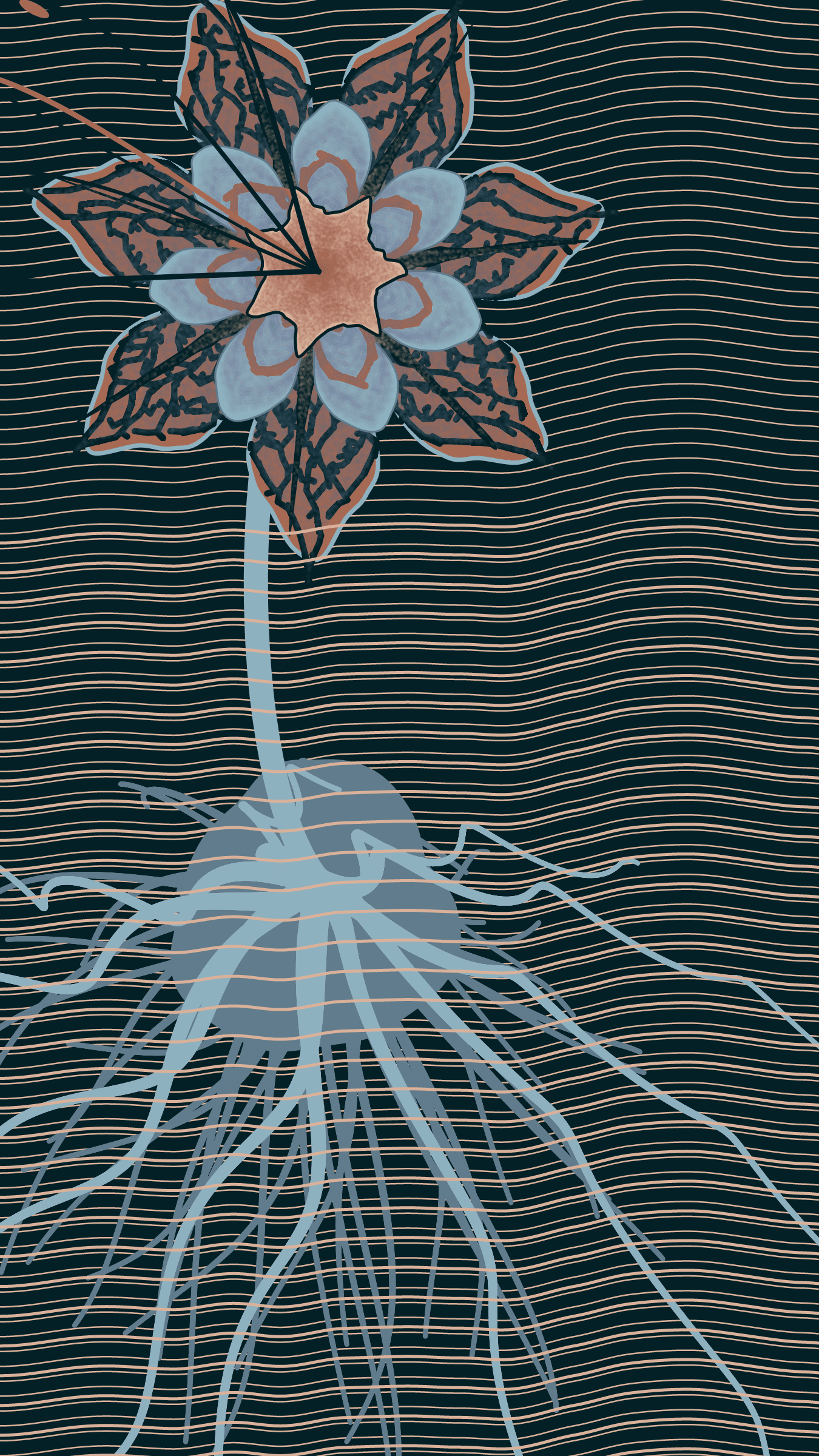 Underwater #20000080