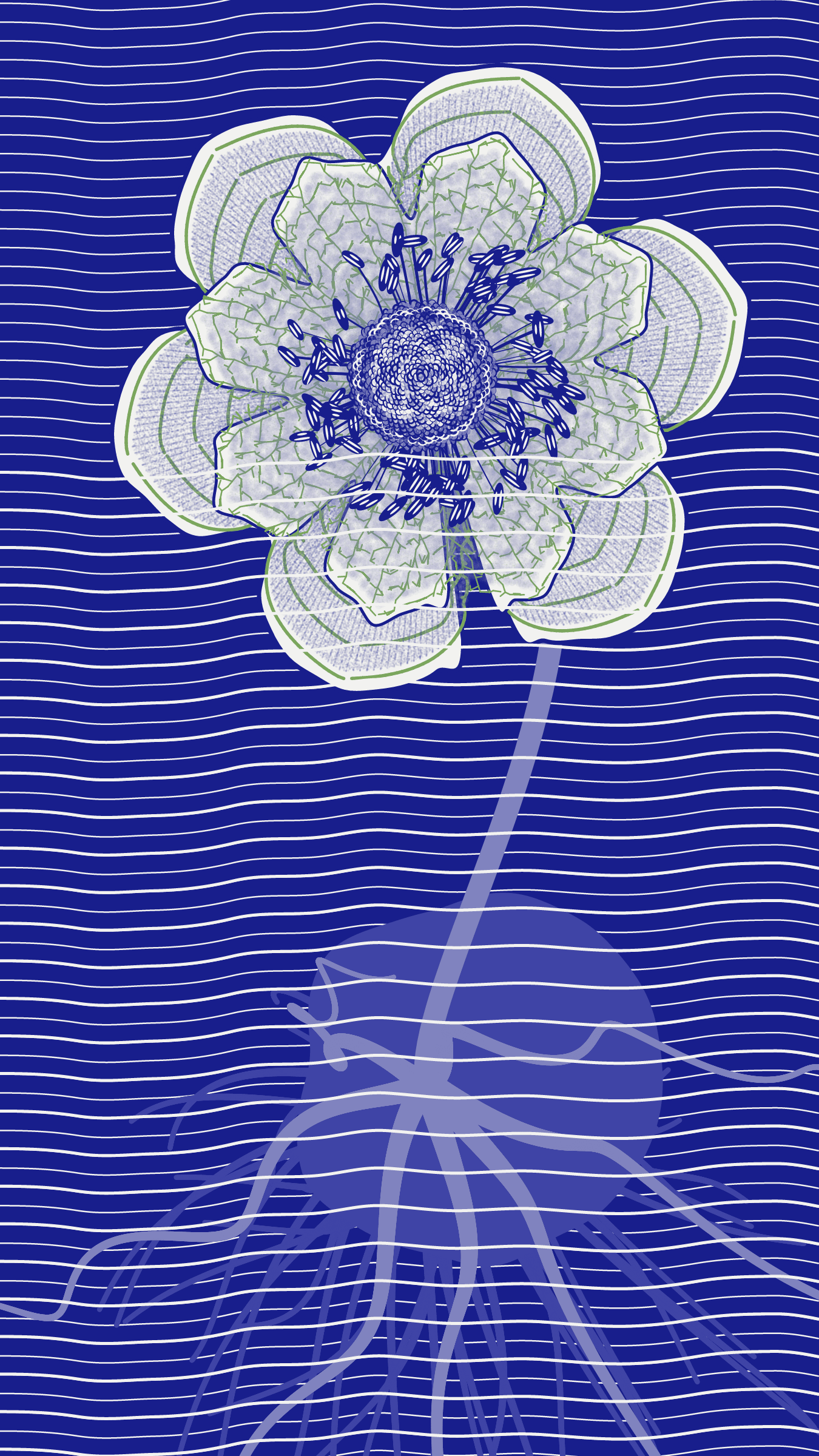 Underwater #20000082
