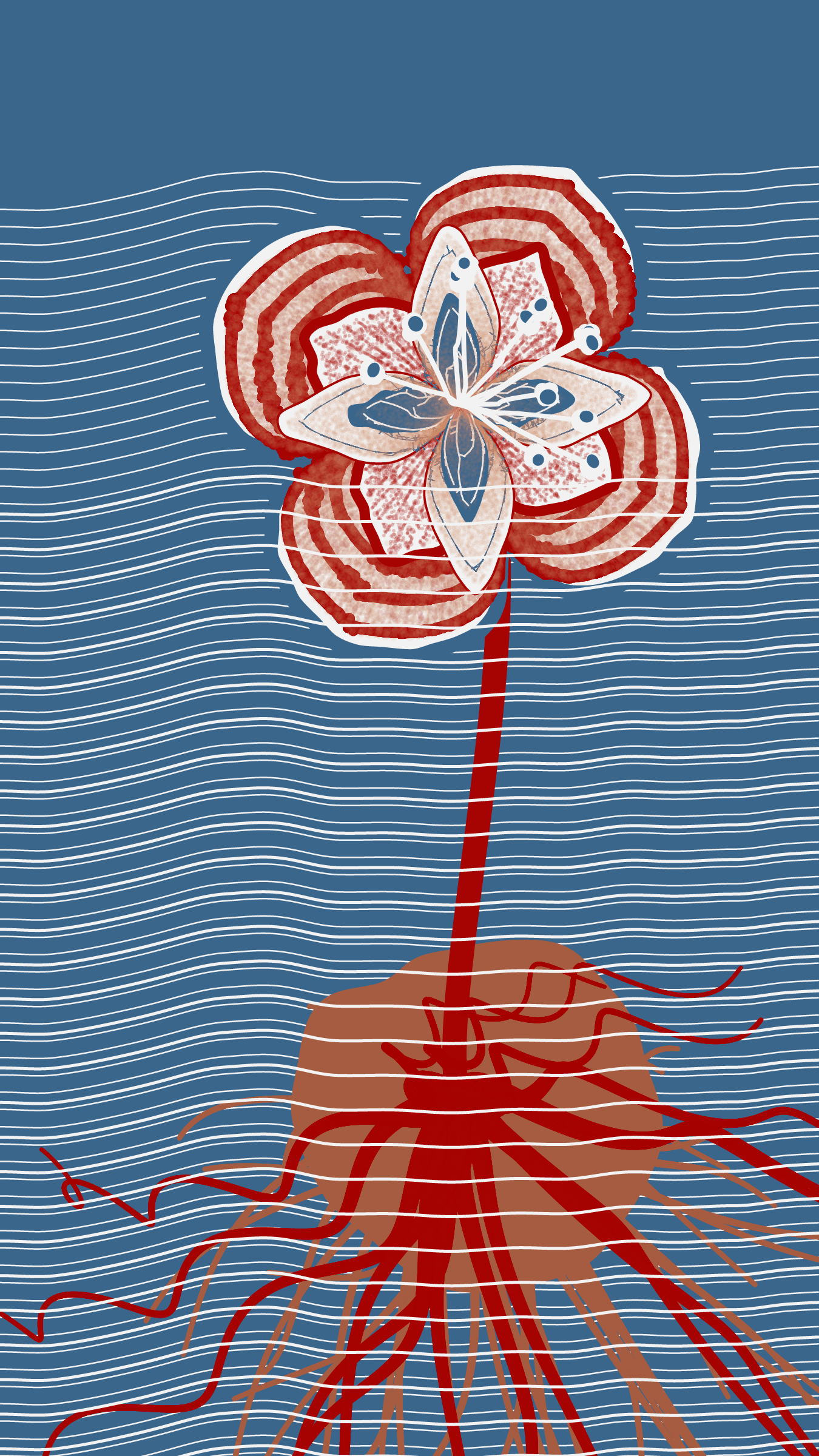 Underwater #20000089