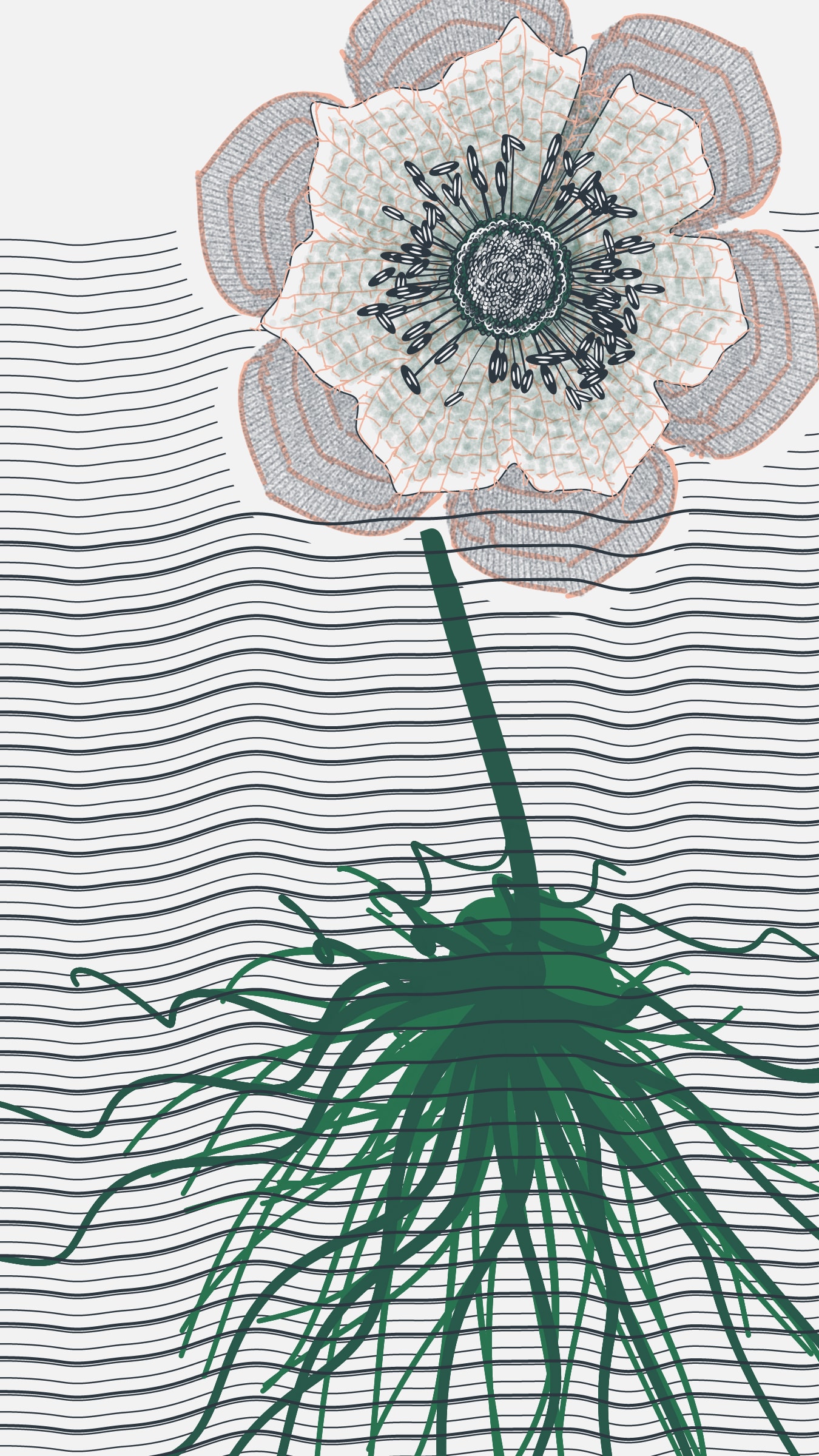 Underwater #20000091
