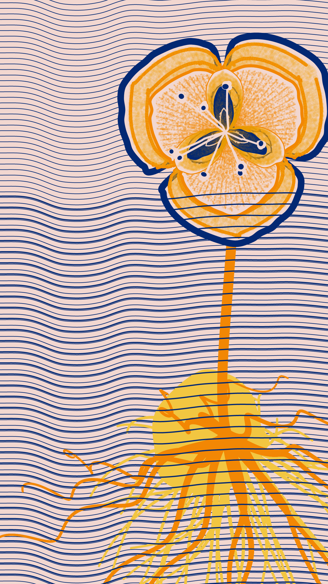 Underwater #20000093