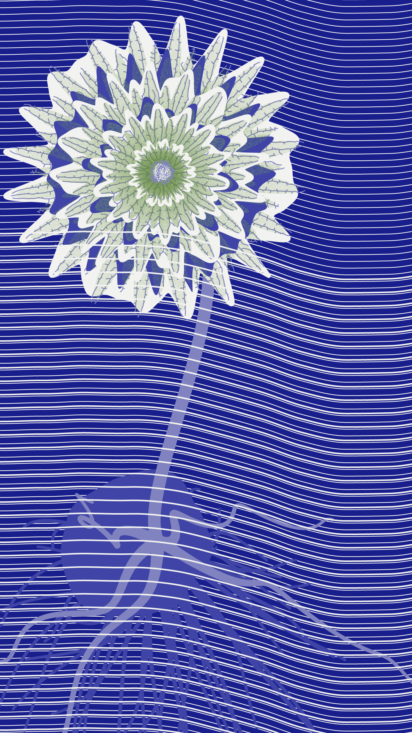 Underwater #20000094