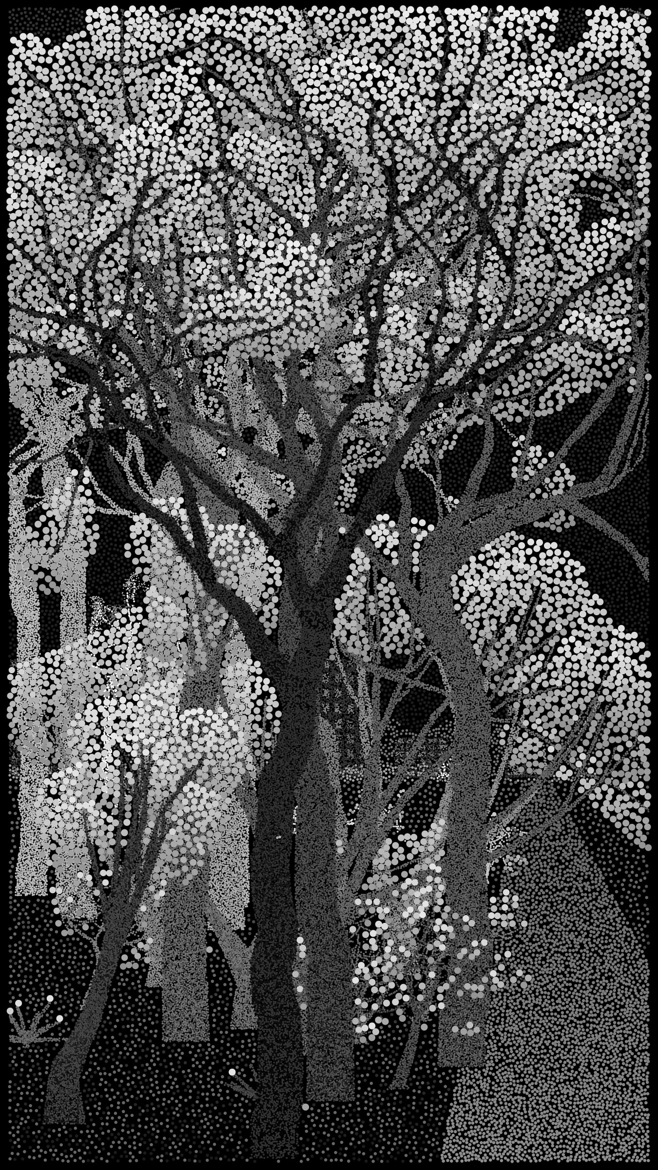 Featured token for: Bosque de Chapultepec