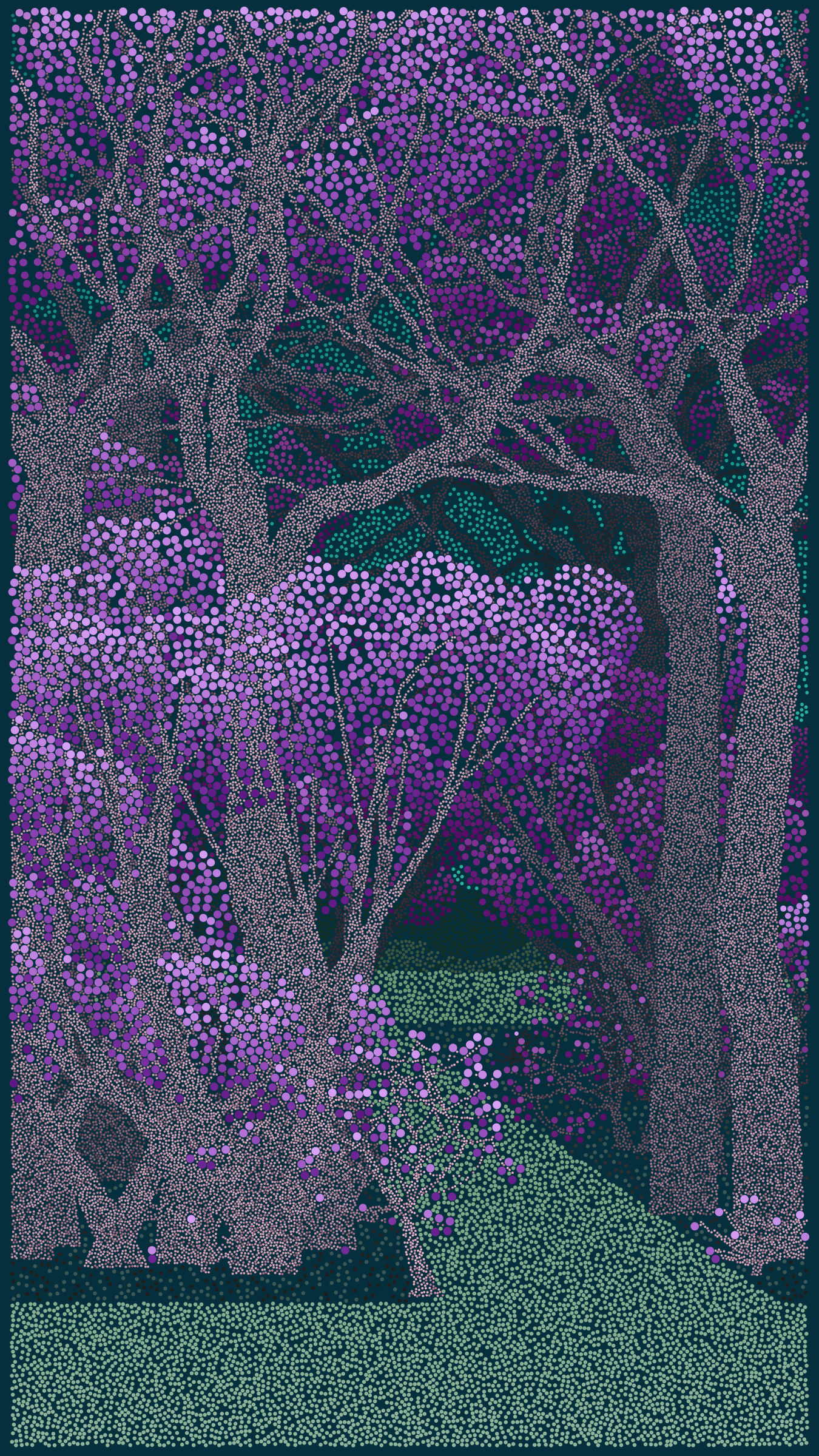 22000050