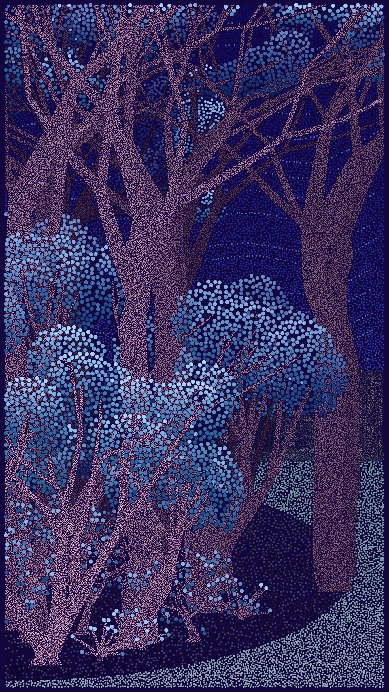 22000081