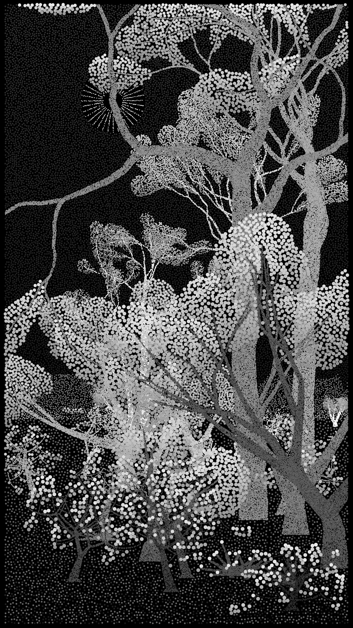 Featured token for: Bosque de Chapultepec