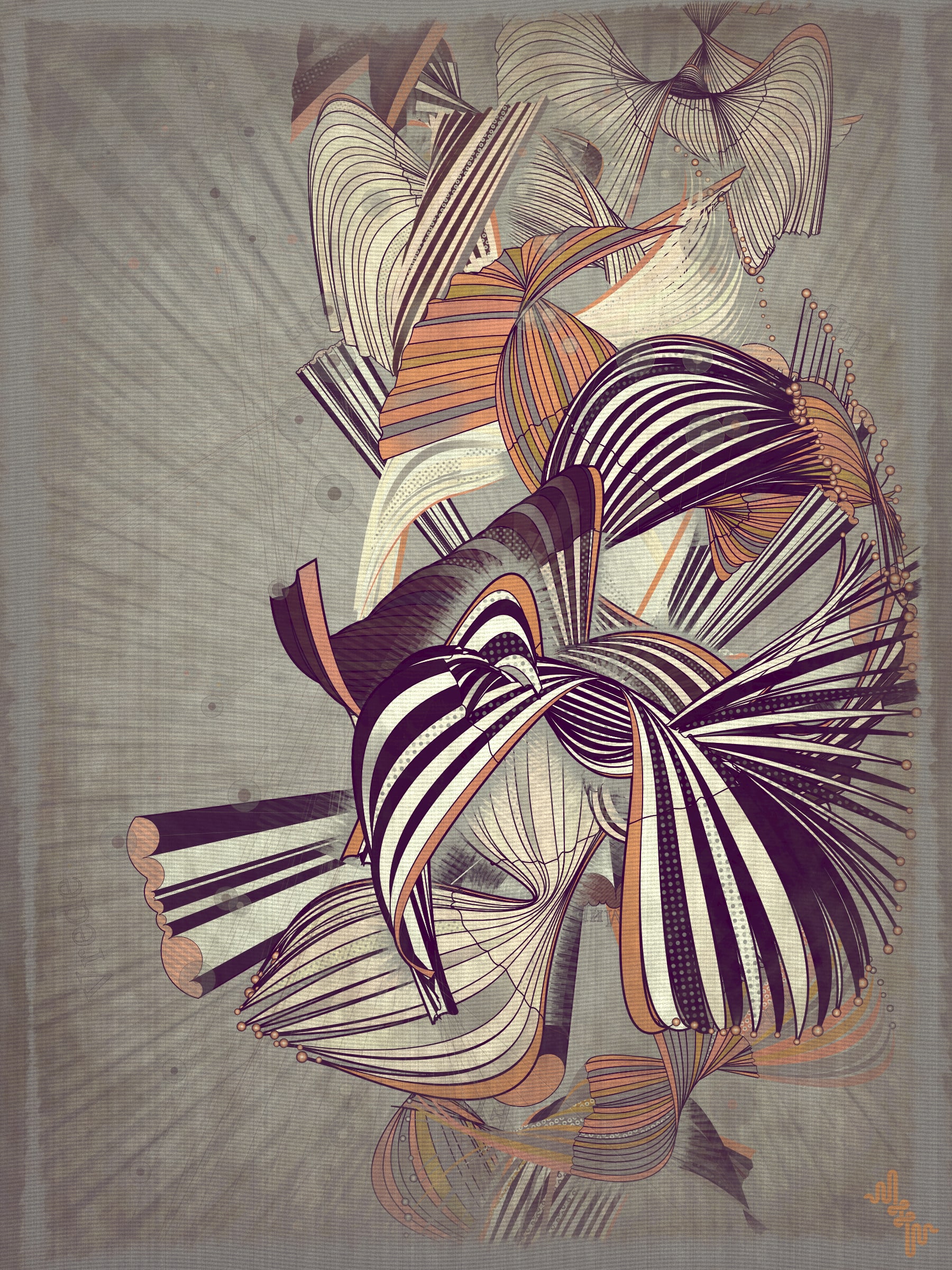 Velum #34000003