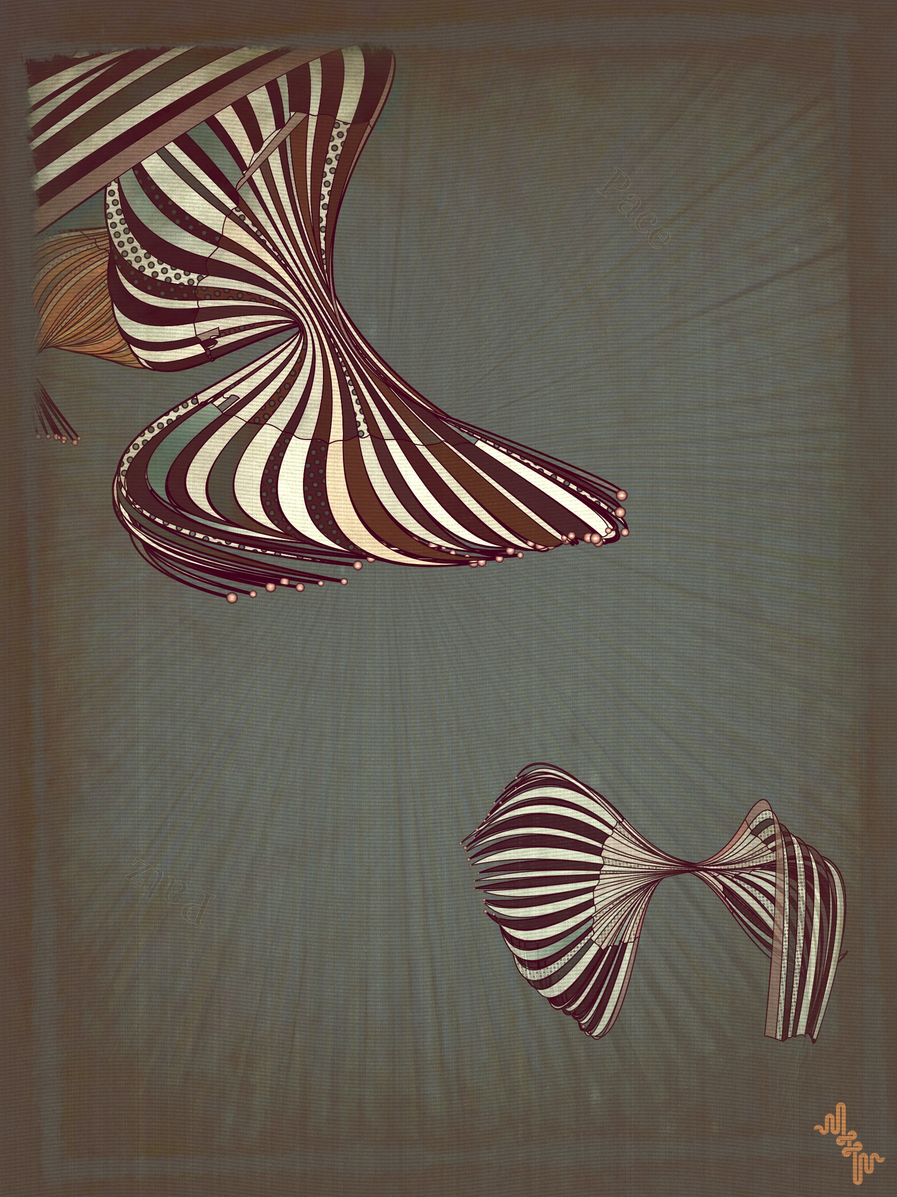 Velum #34000017