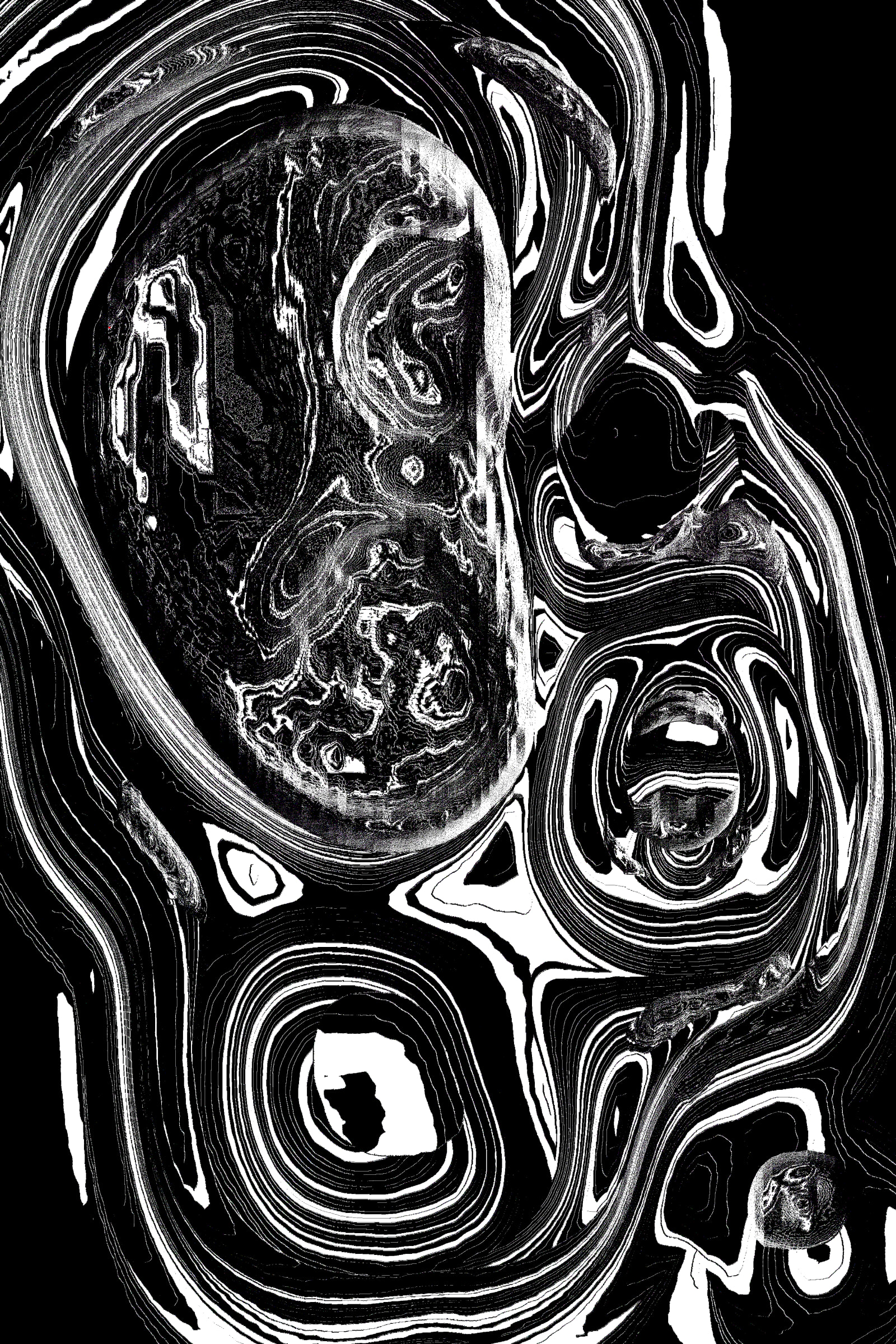 49000035