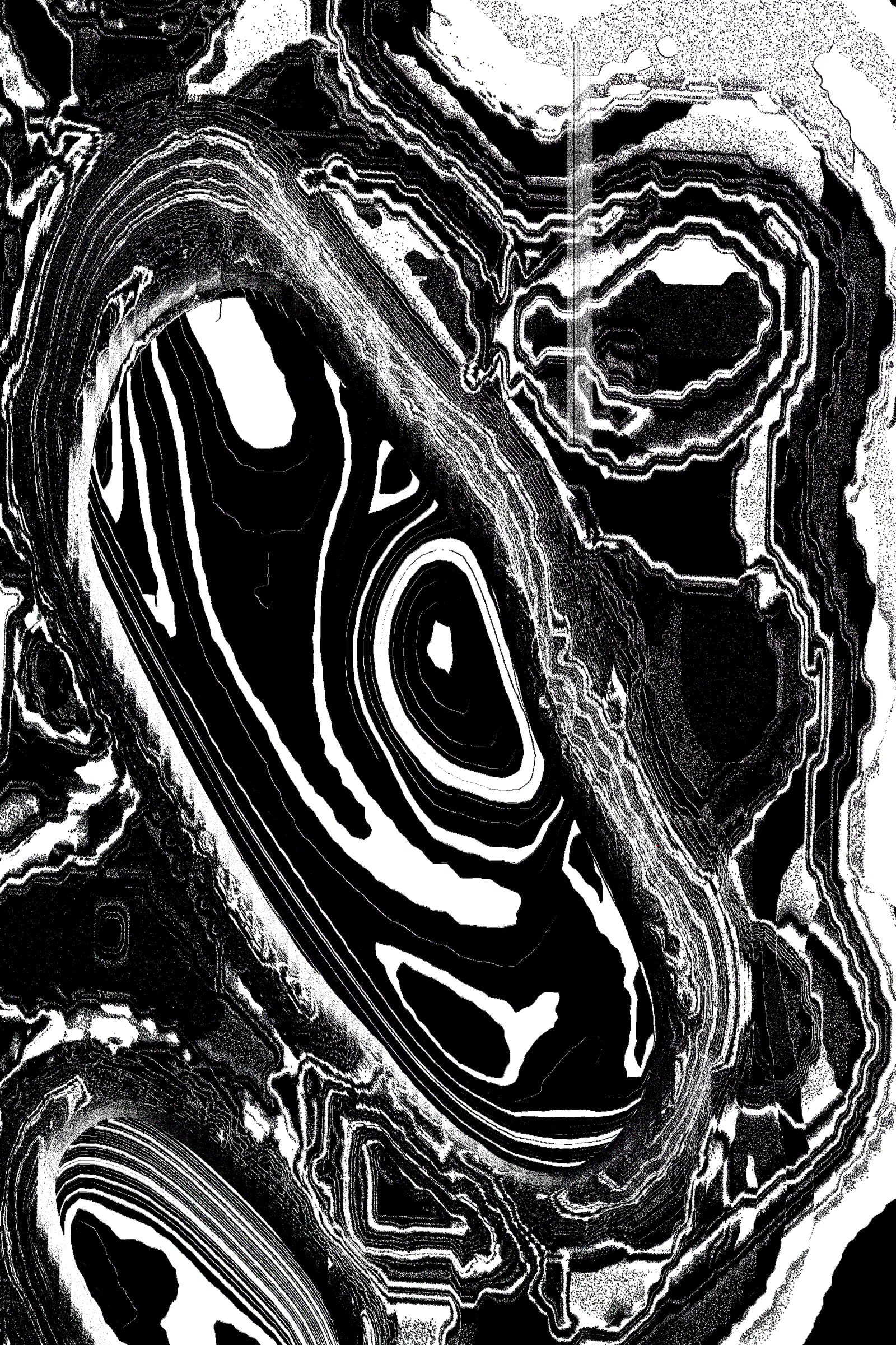 49000046