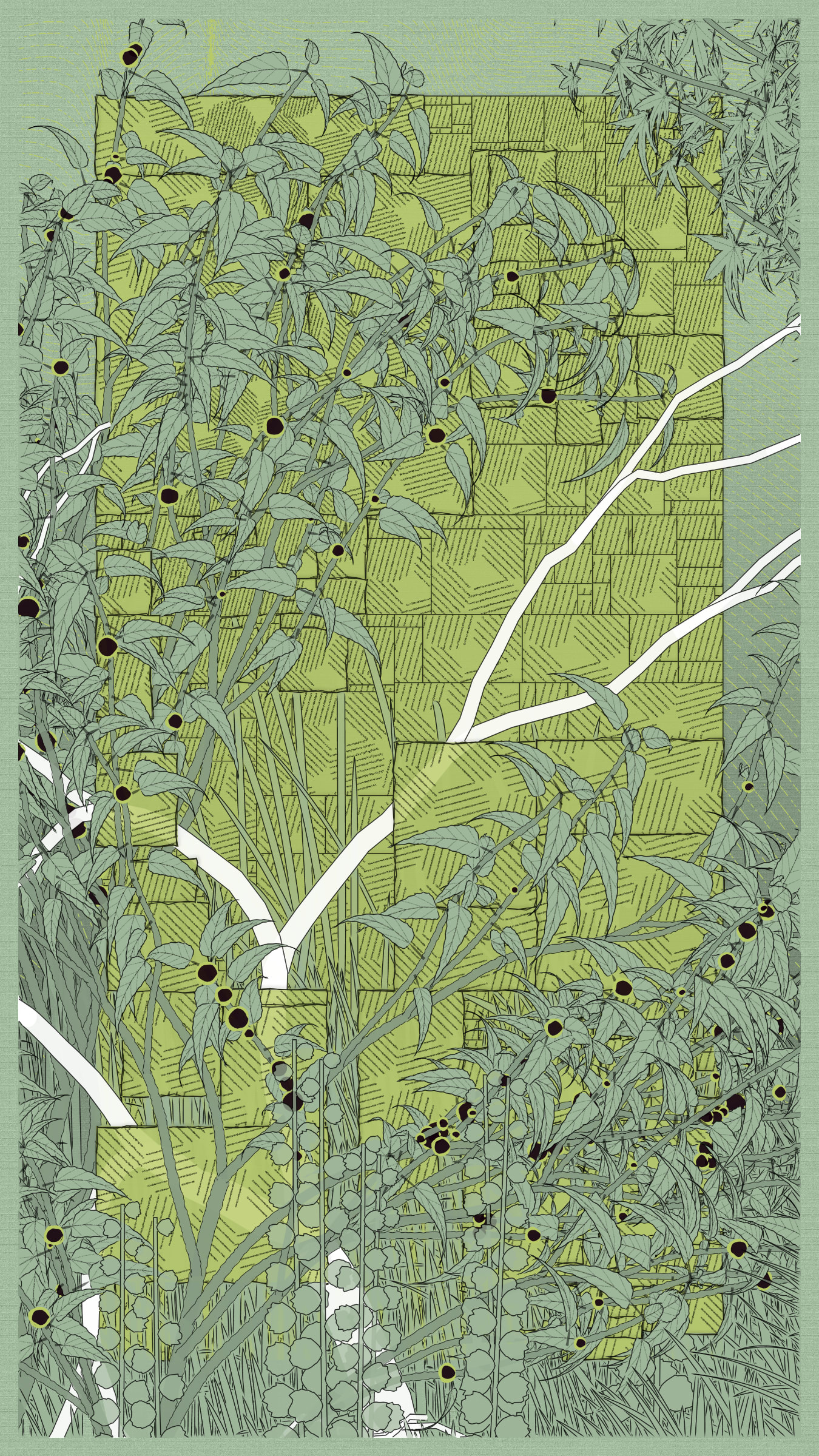 Kumono Shingou #52000003