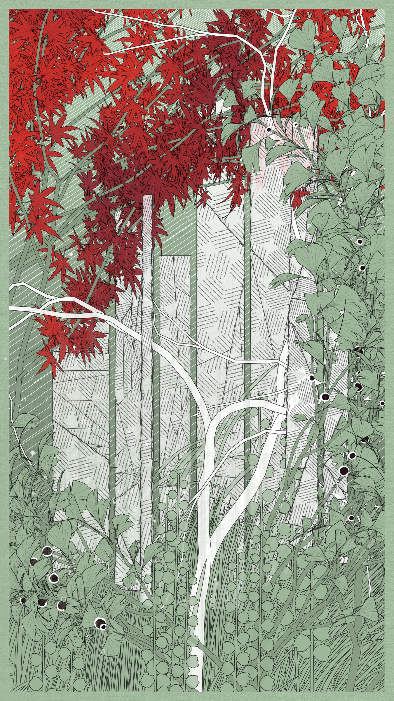 Kumono Shingou #52000035