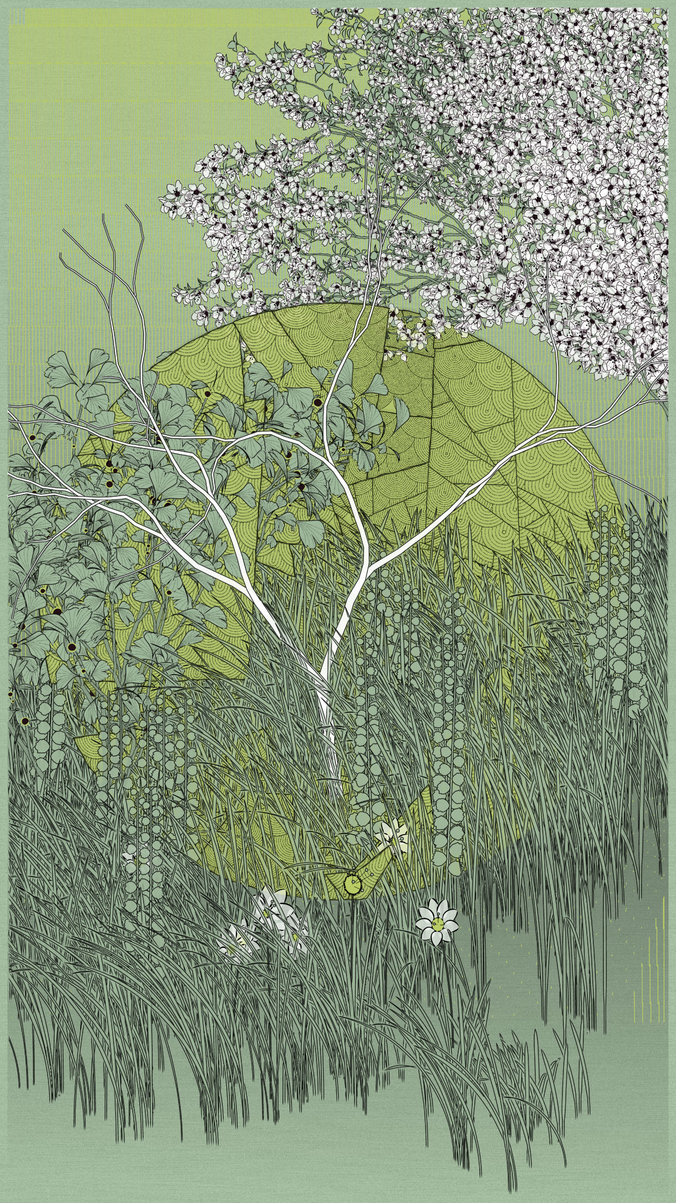 Kumono Shingou #52000038