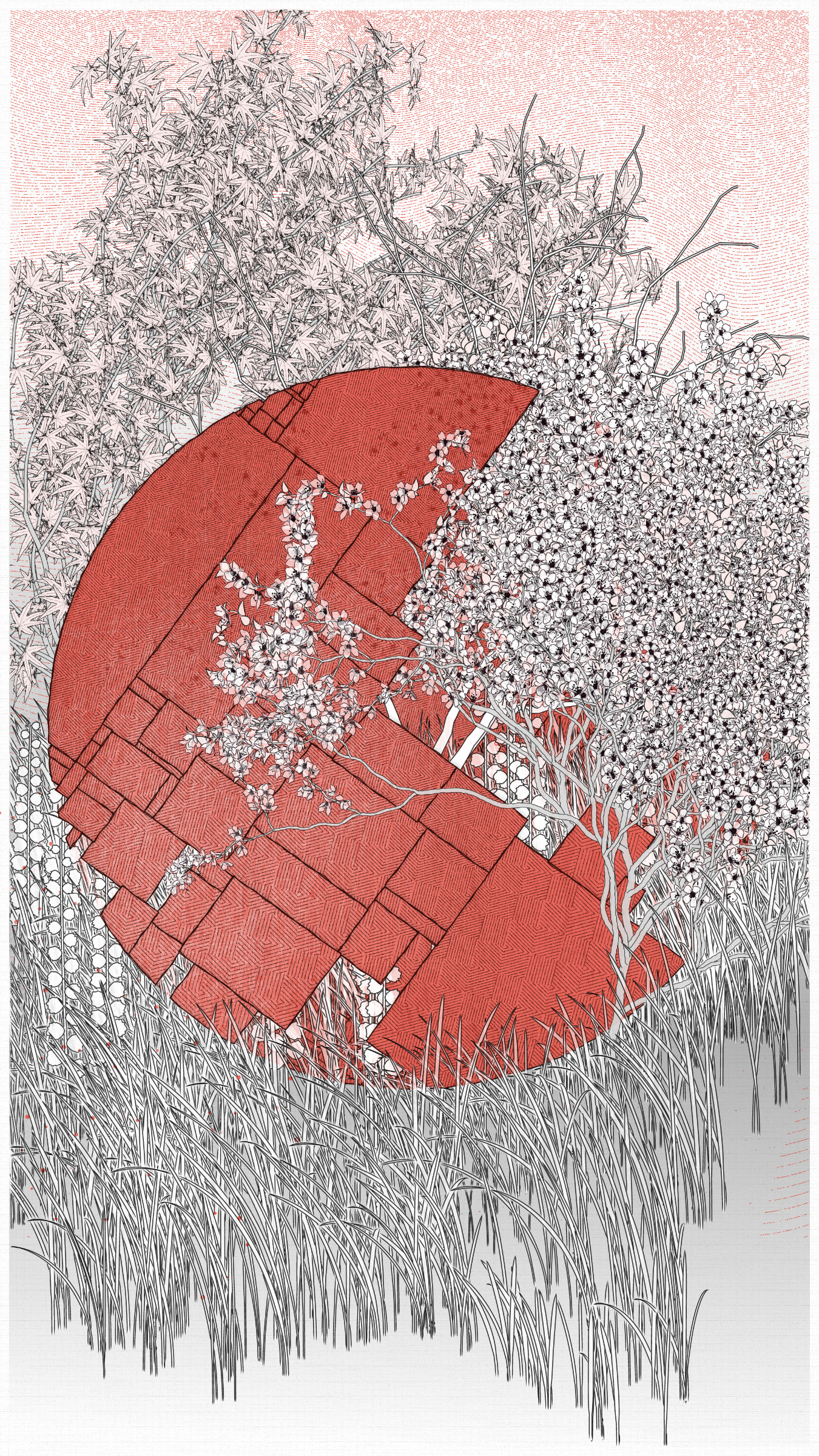 Kumono Shingou #52000045