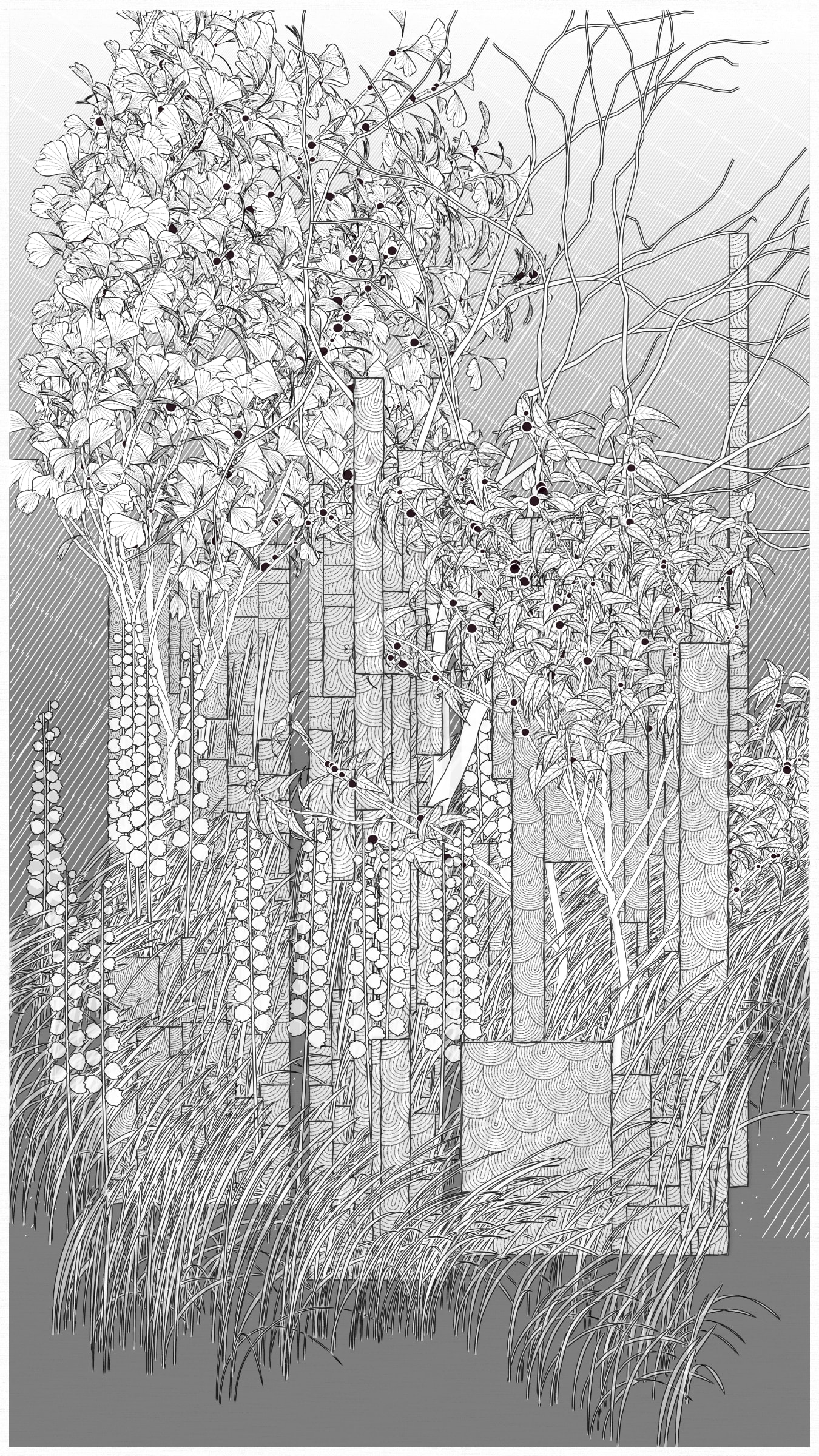 Kumono Shingou #52000047