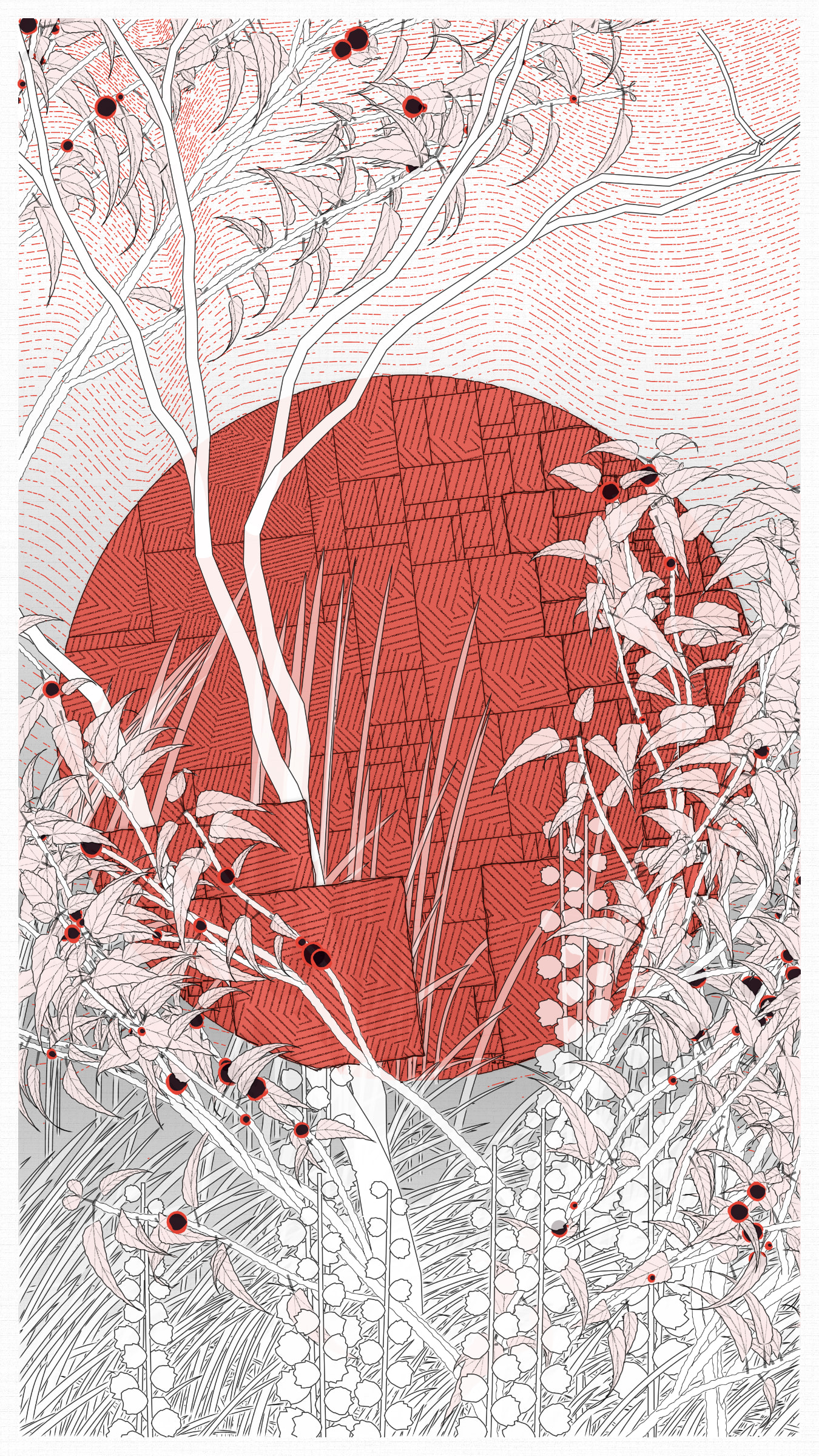 Kumono Shingou #52000050