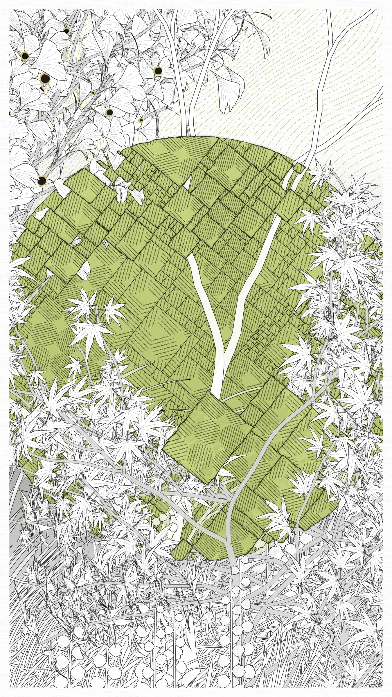 Kumono Shingou #52000052