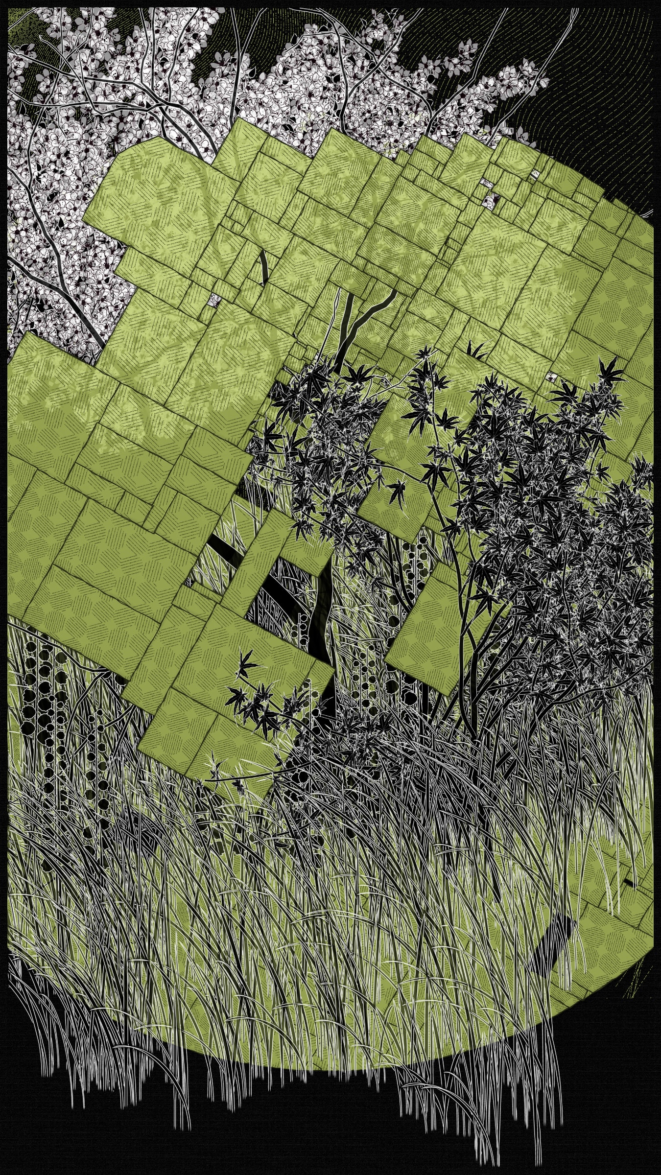 Kumono Shingou #52000061