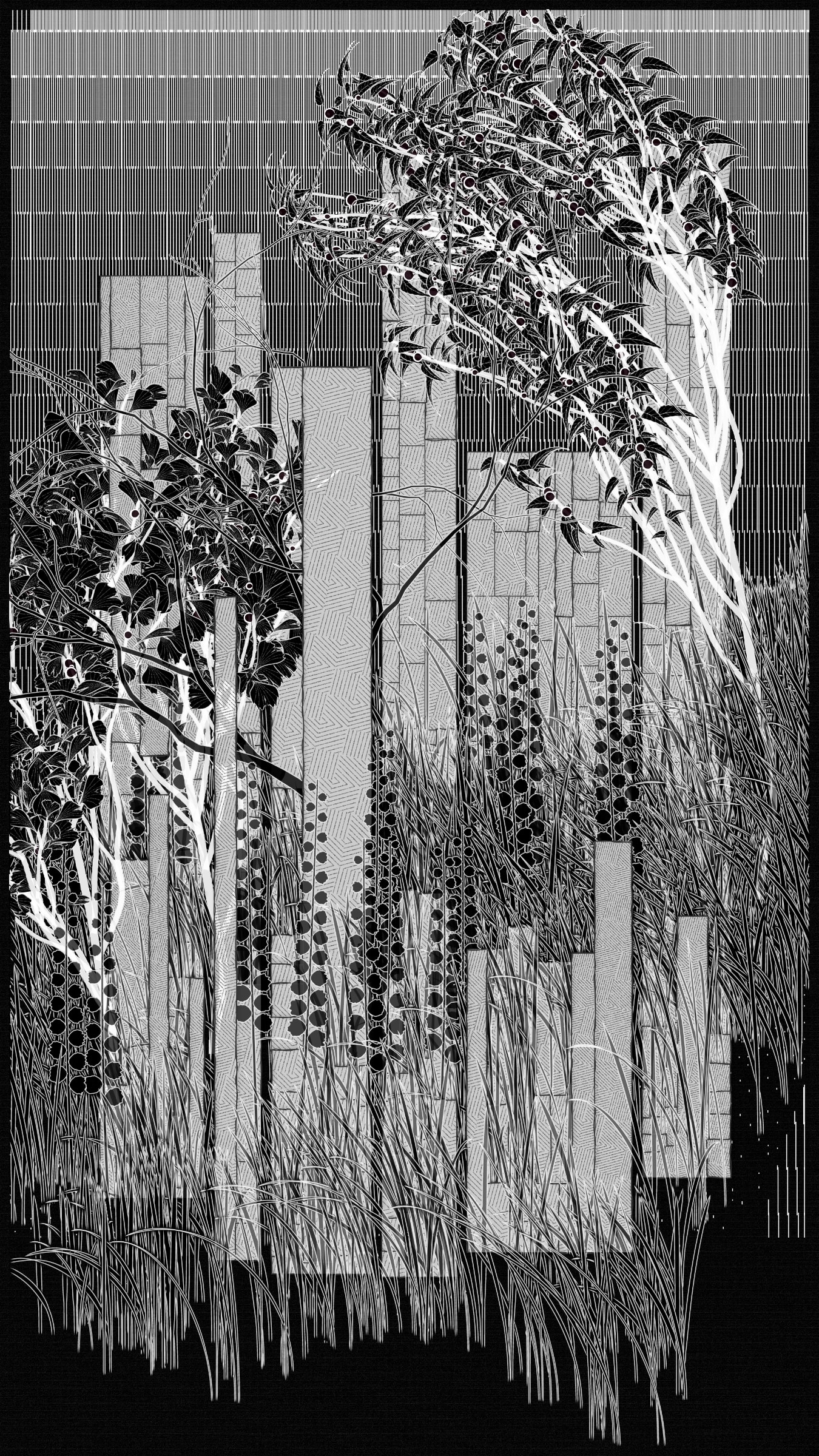 Kumono Shingou #52000066