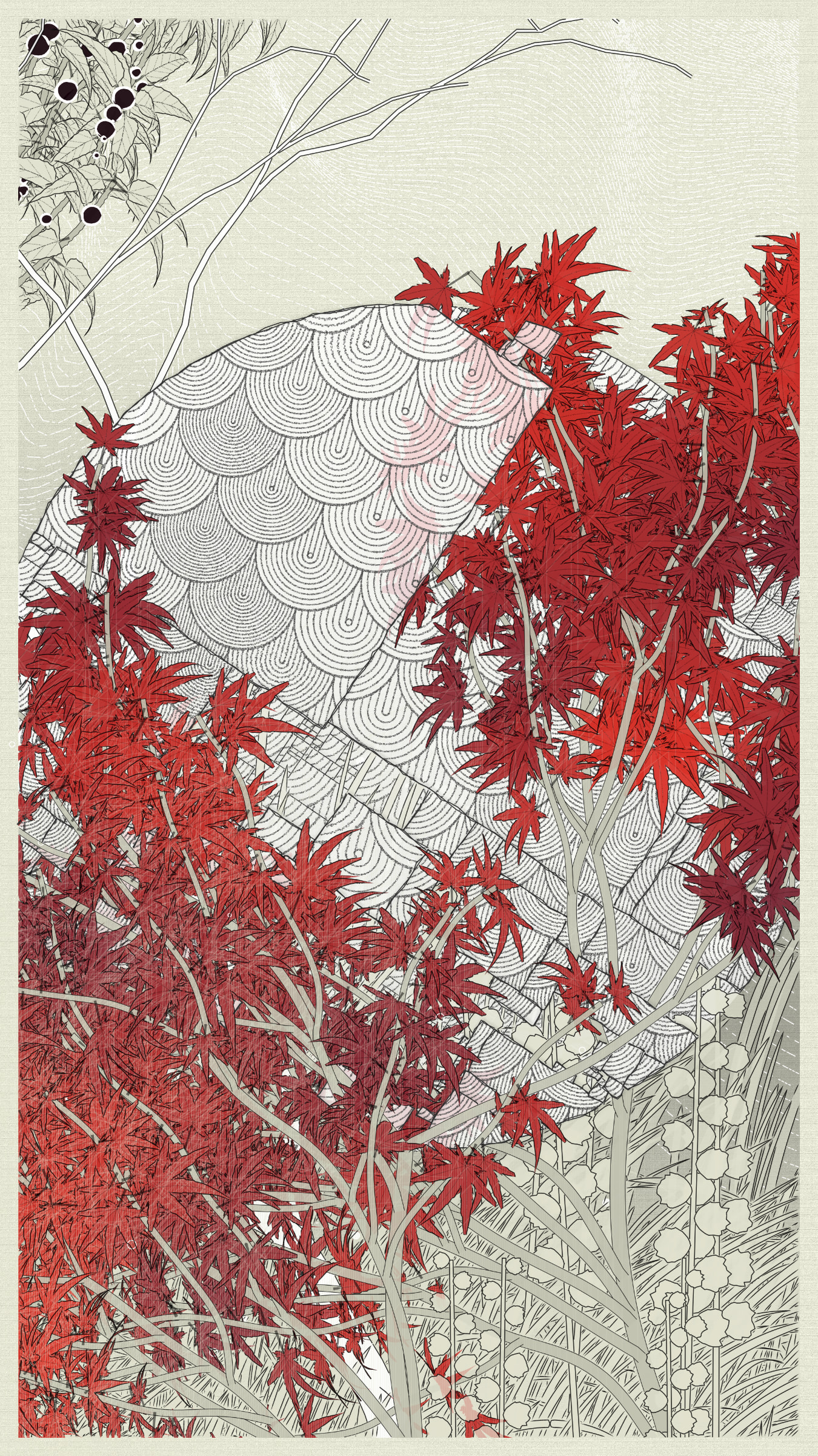 Kumono Shingou #52000070