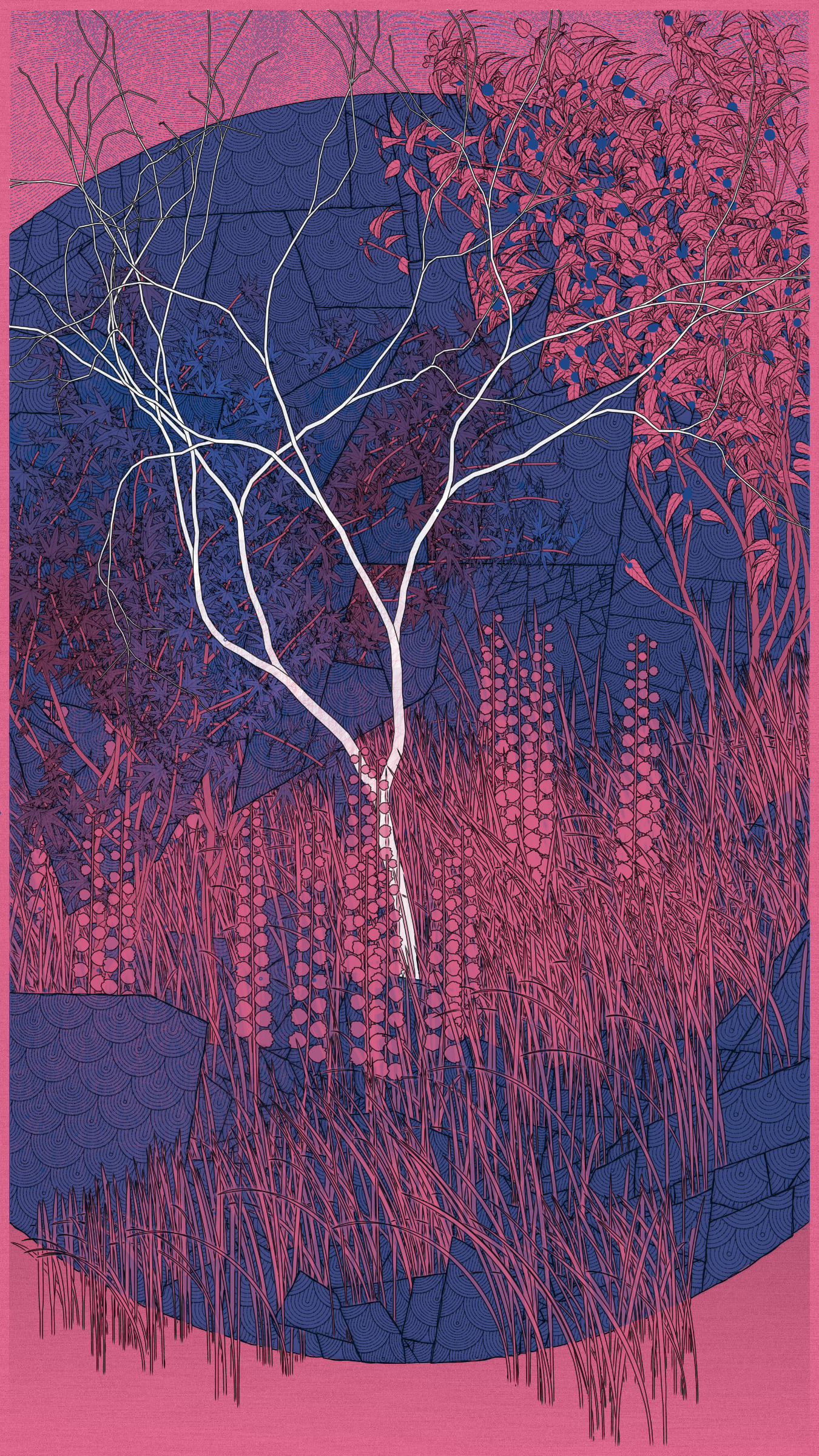 Kumono Shingou #52000079