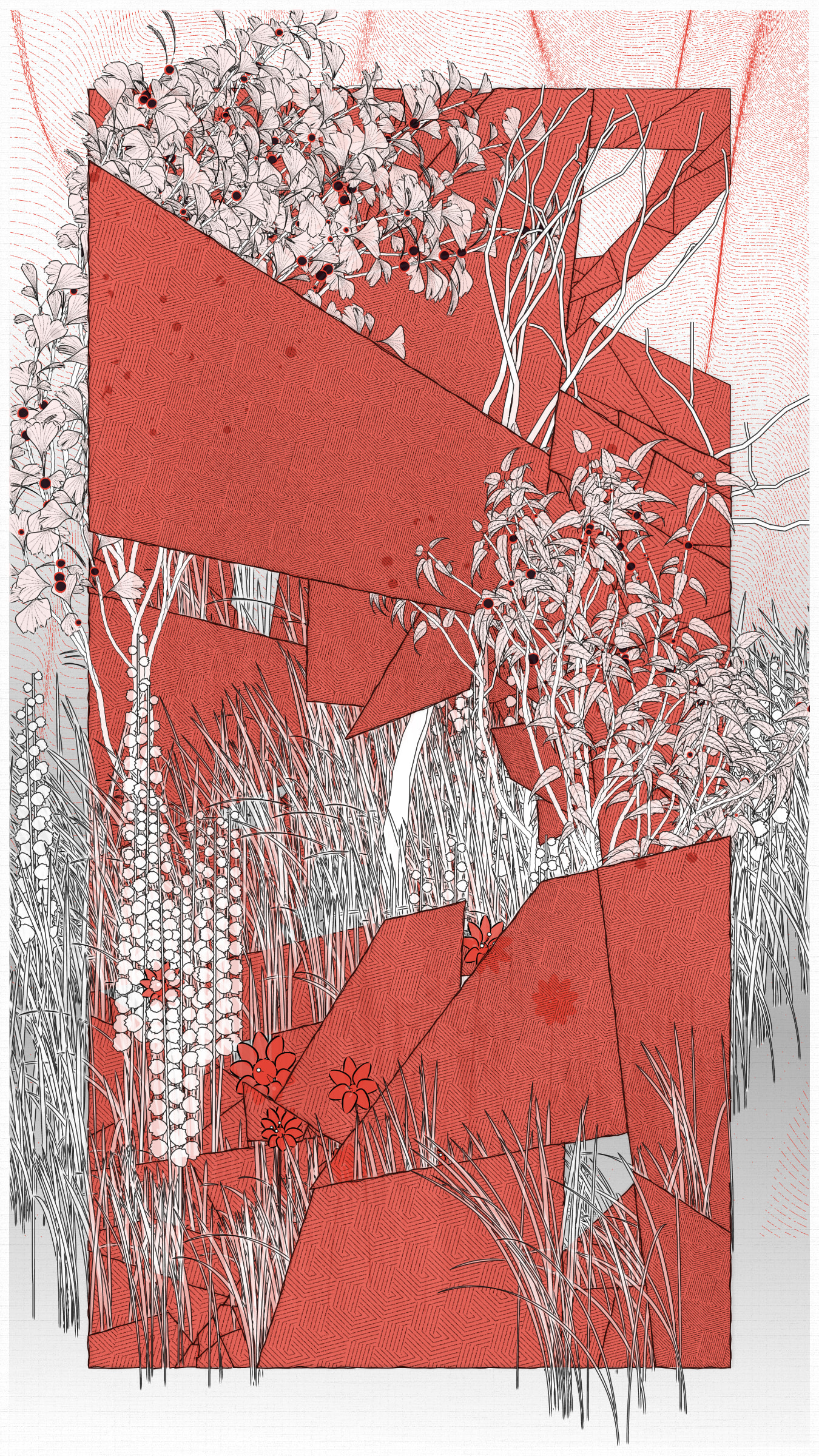 Kumono Shingou #52000087