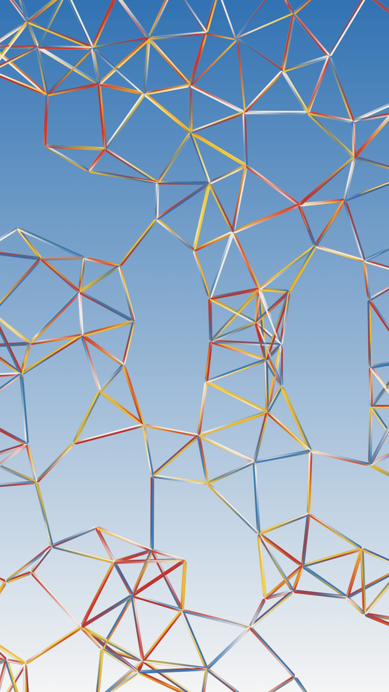 Network C #6000025