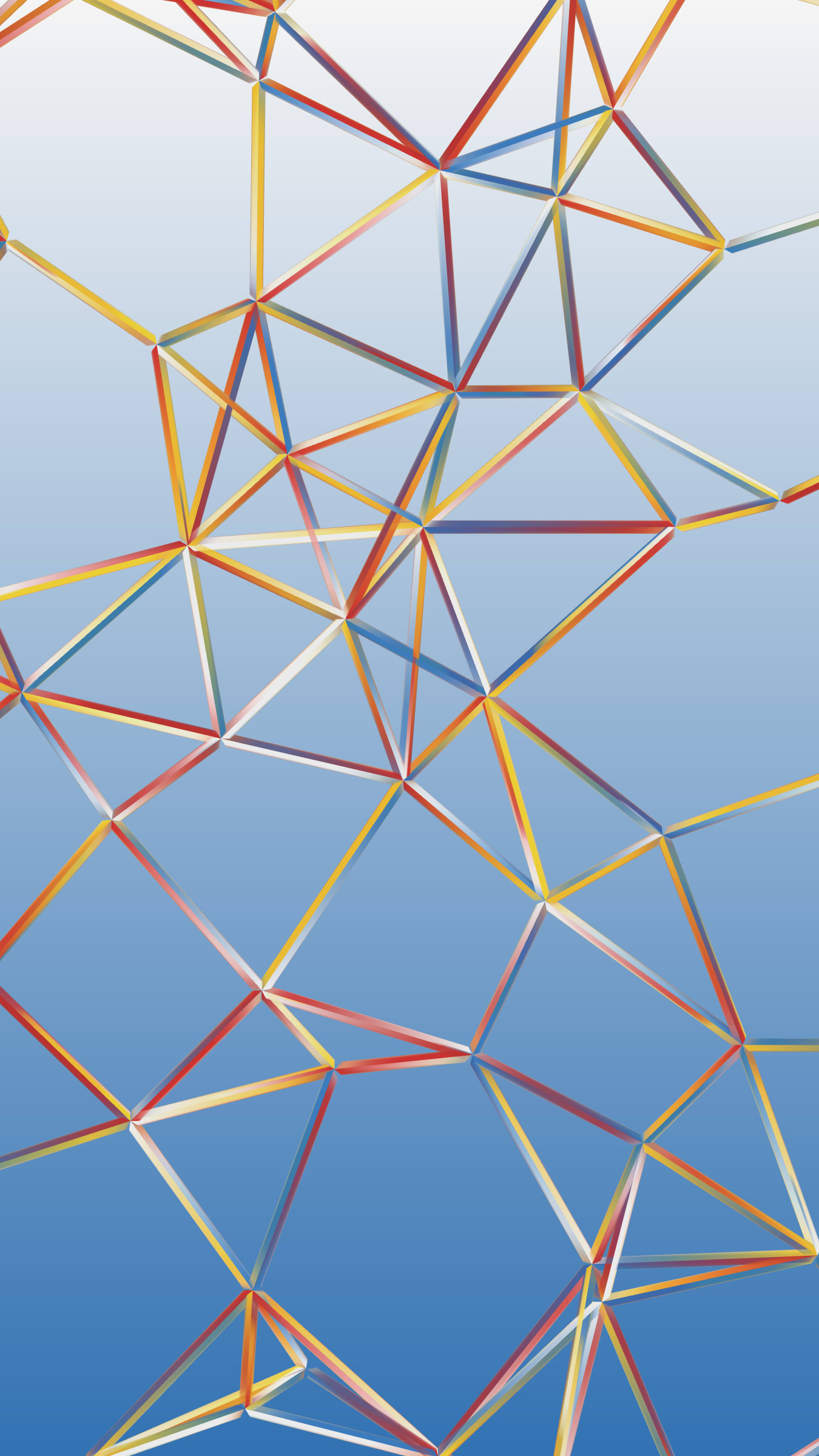 Network C #6000027