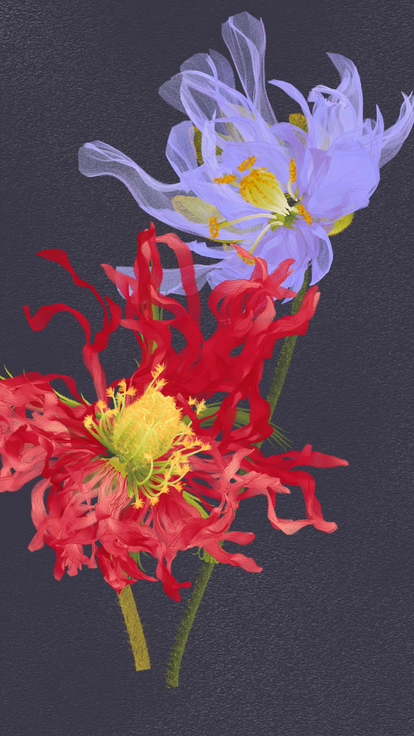 Delirium Blooms