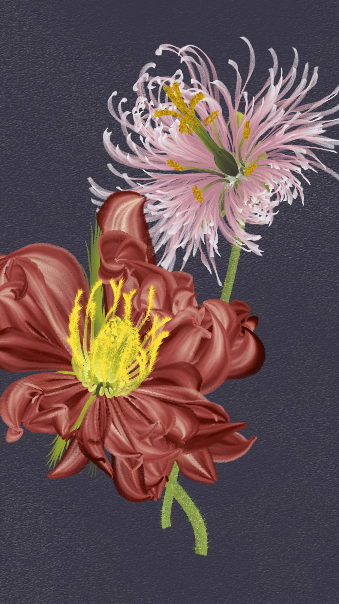 Delirium Blooms