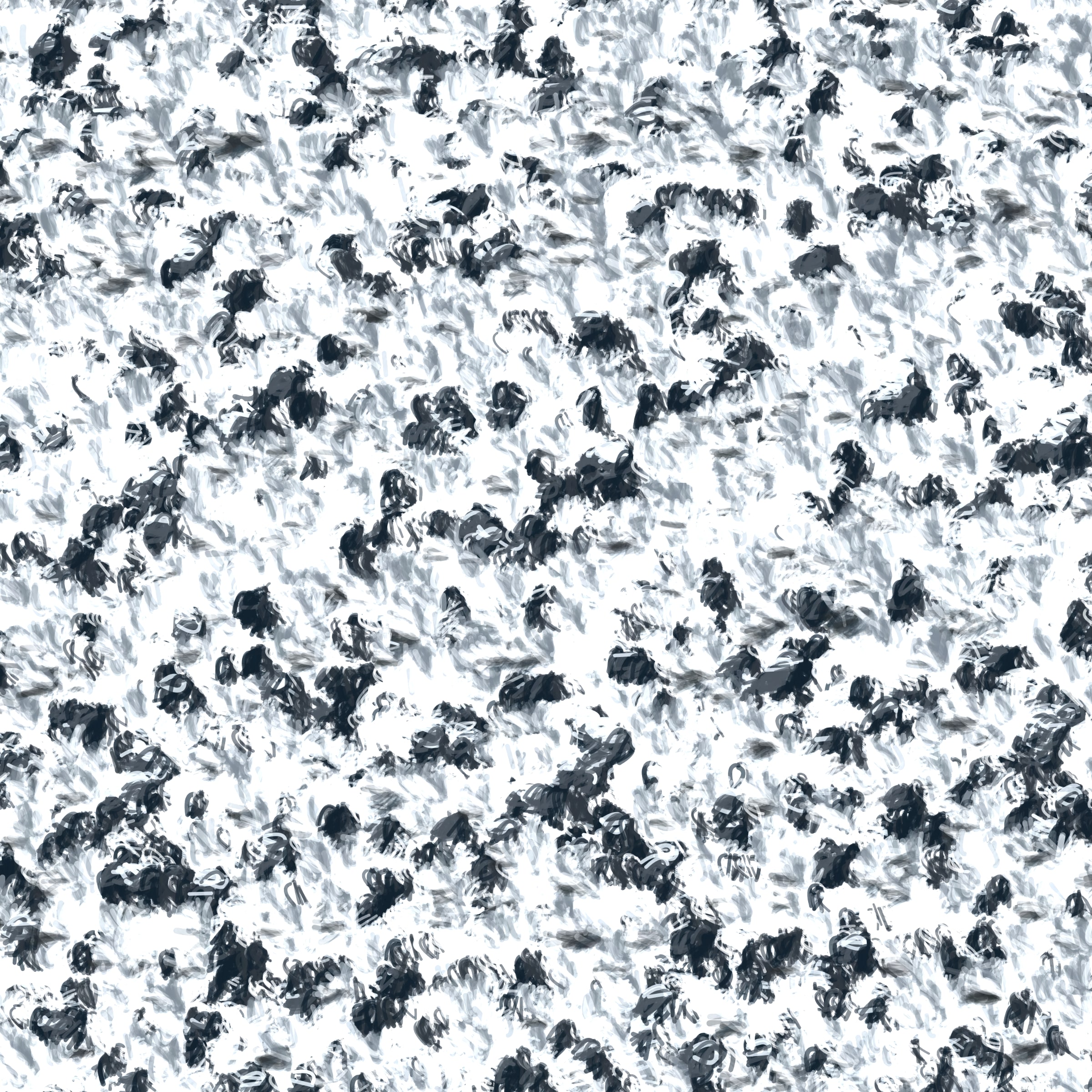 13000253