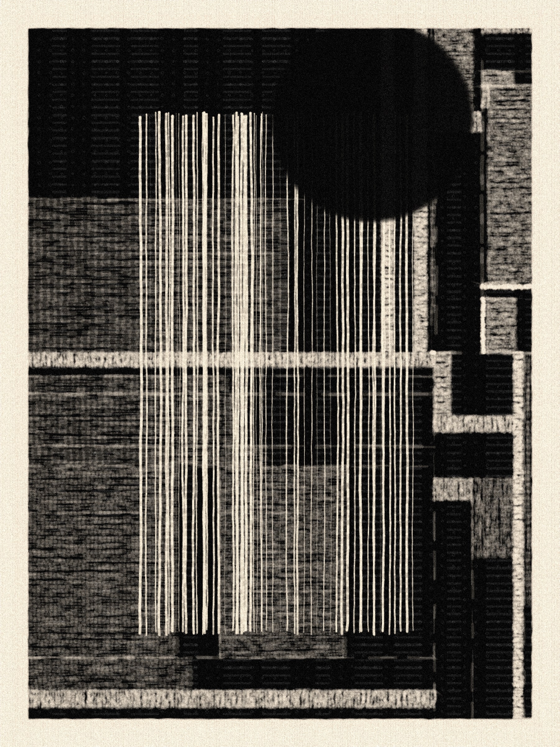 A Tender Count(ing) #2000002