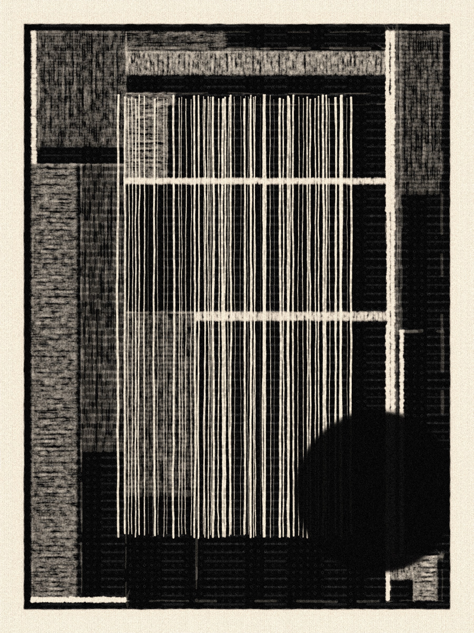 A Tender Count(ing) #2000007