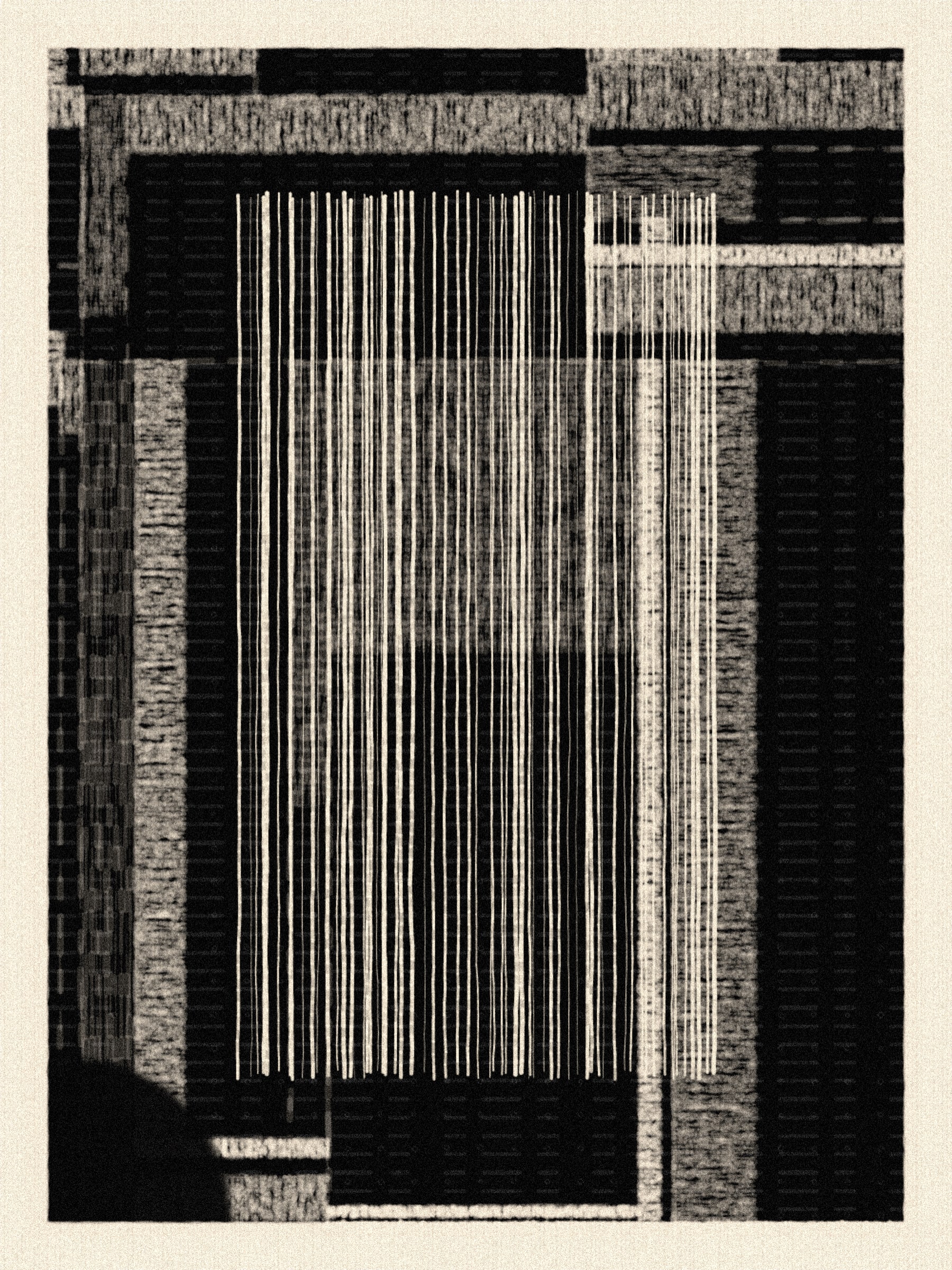 A Tender Count(ing) #2000011