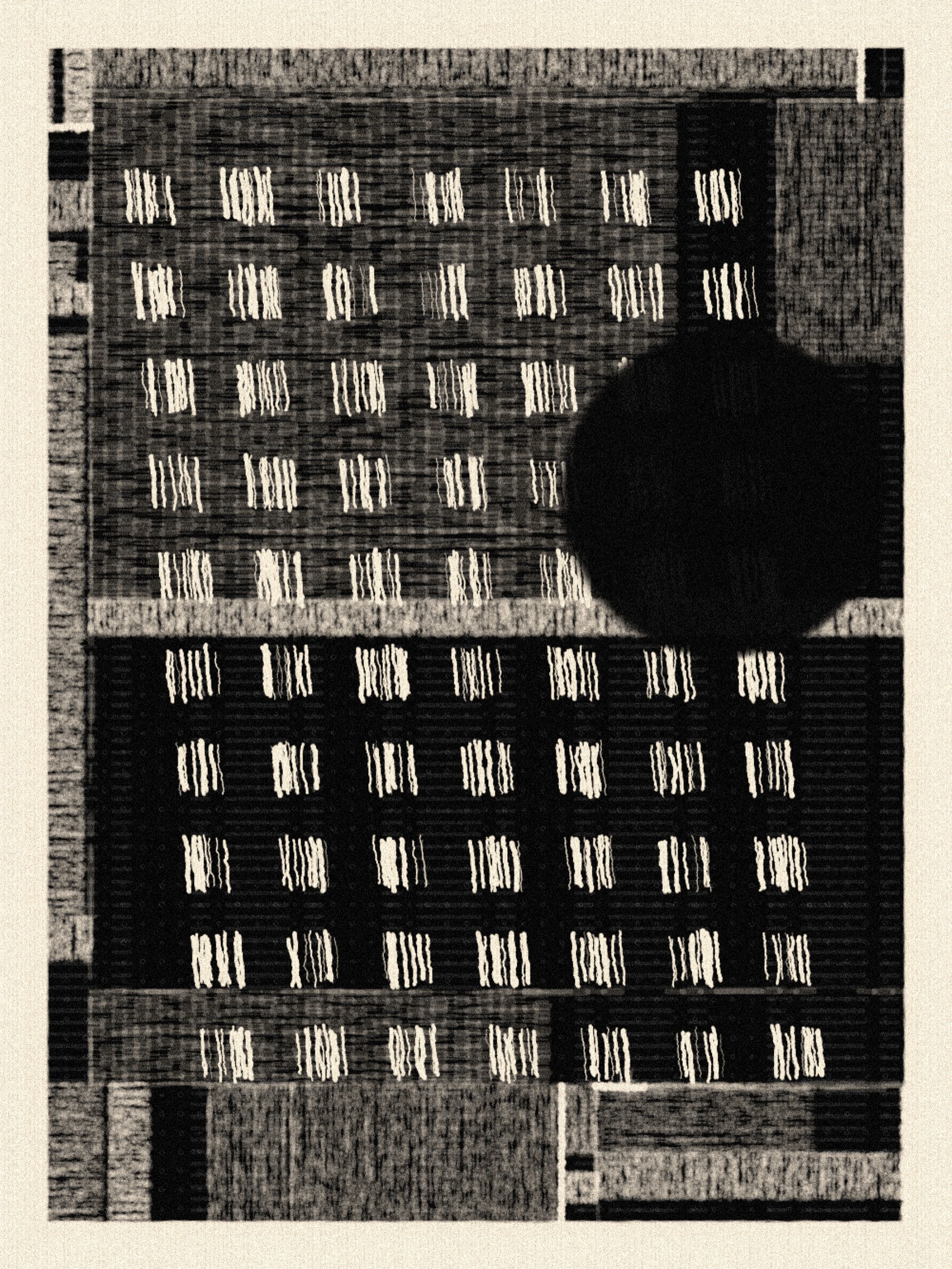 A Tender Count(ing) #2000021