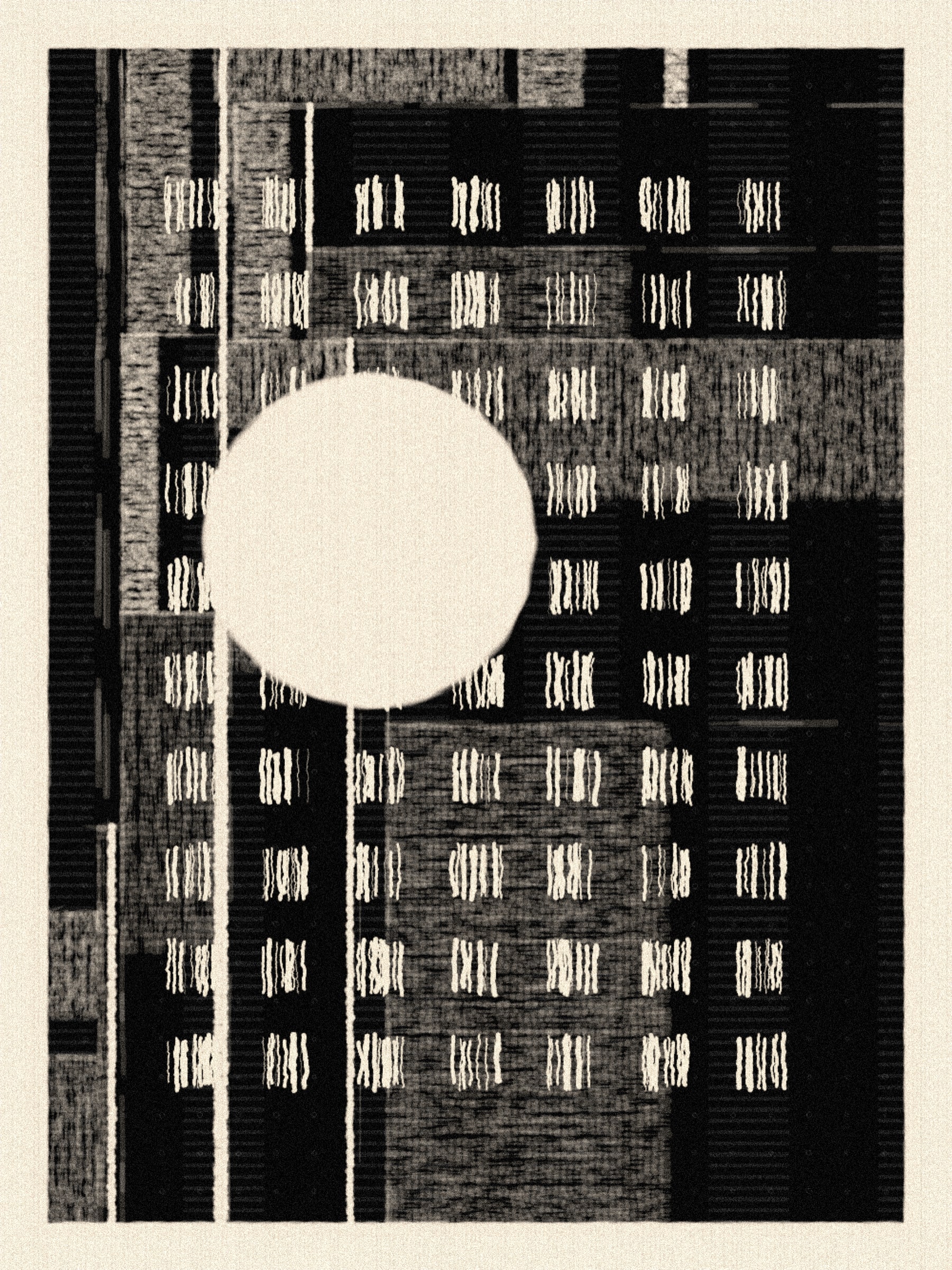 A Tender Count(ing) #2000103