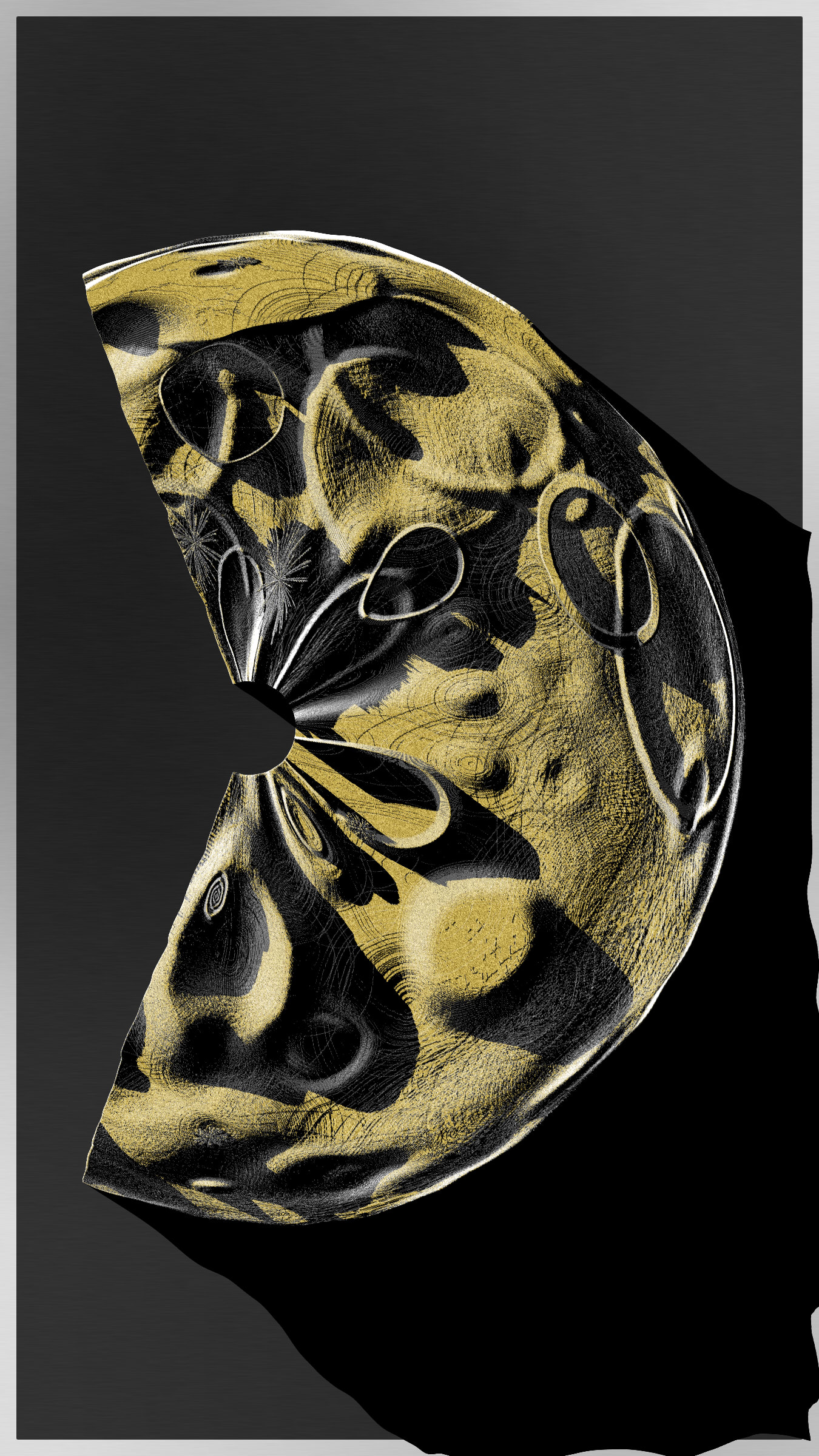 Petrography Case #5000030