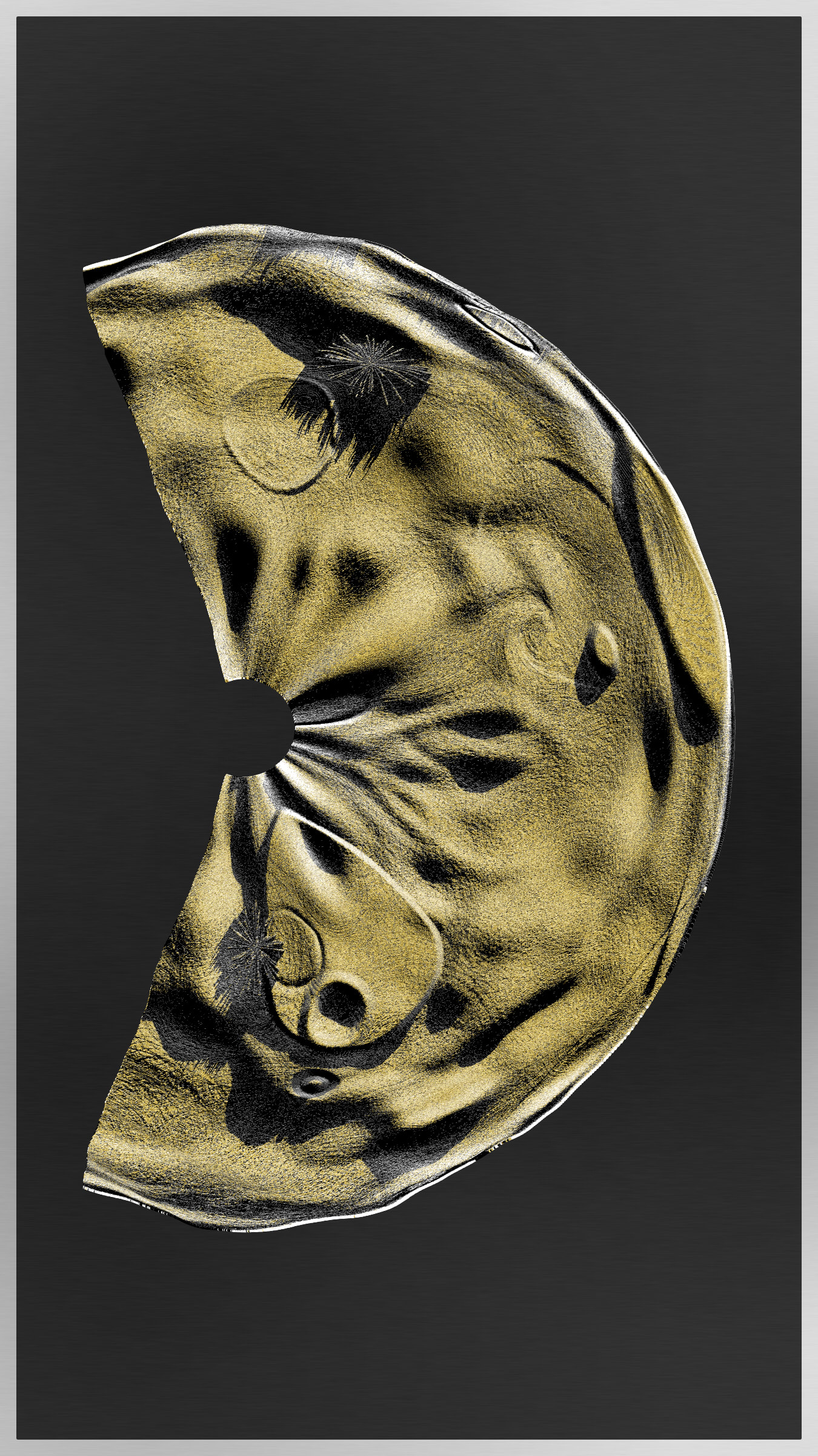 Petrography Case #5000051