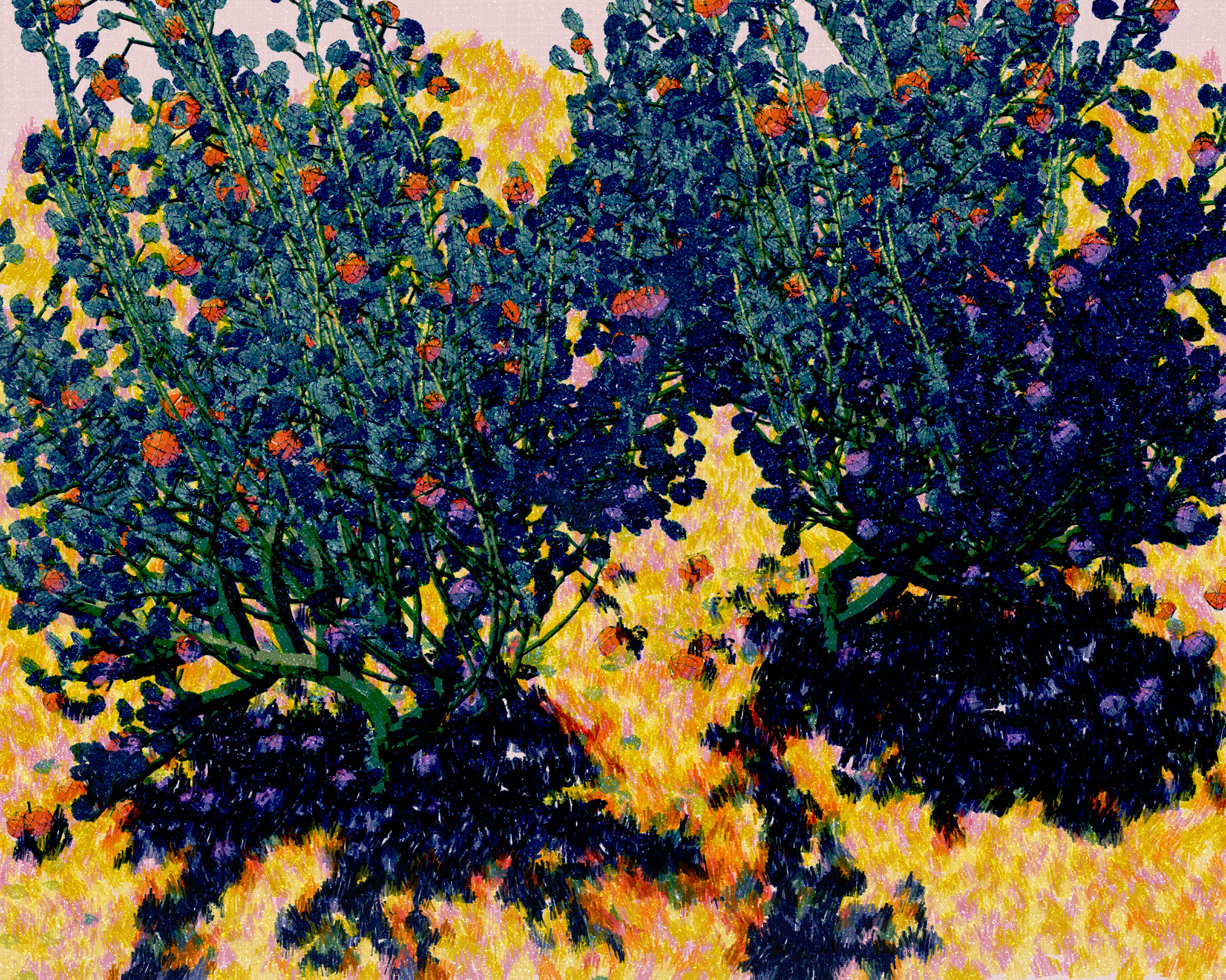 Nat Sarkissian header