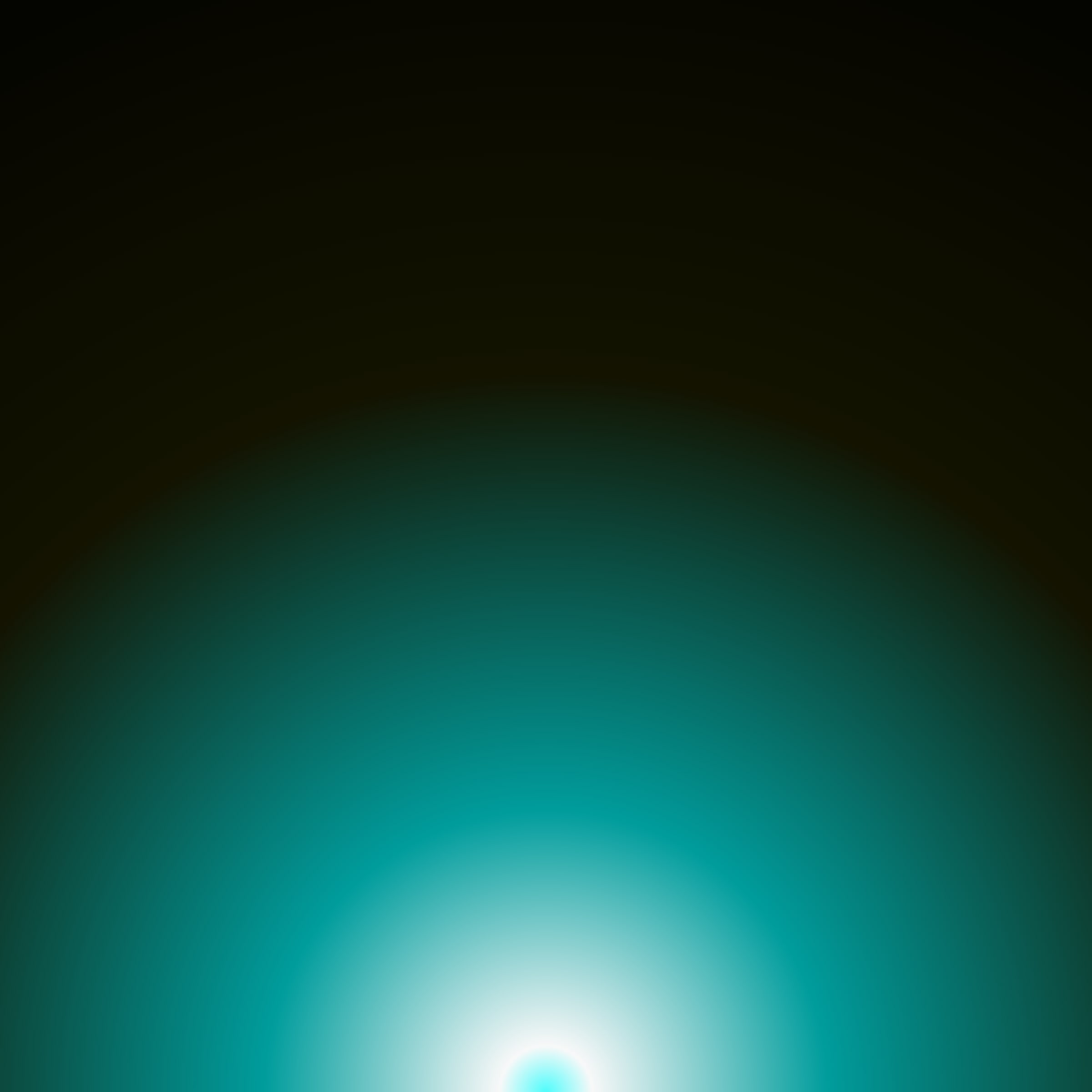 20000006