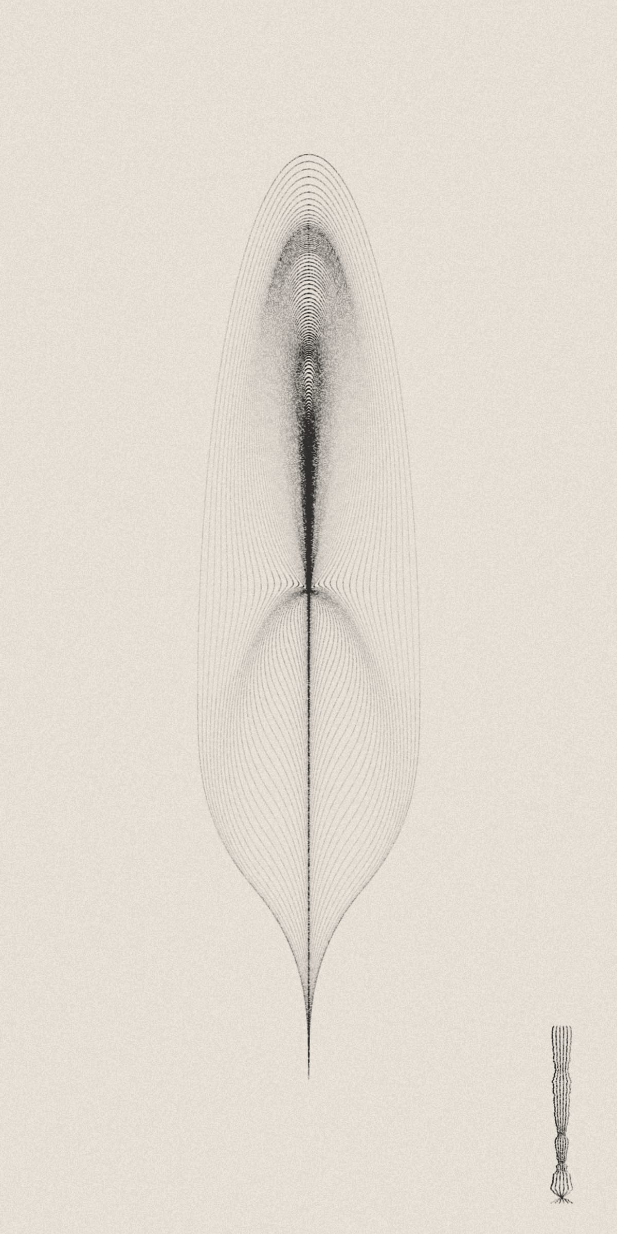 Totem : Symbols of Change #16000048