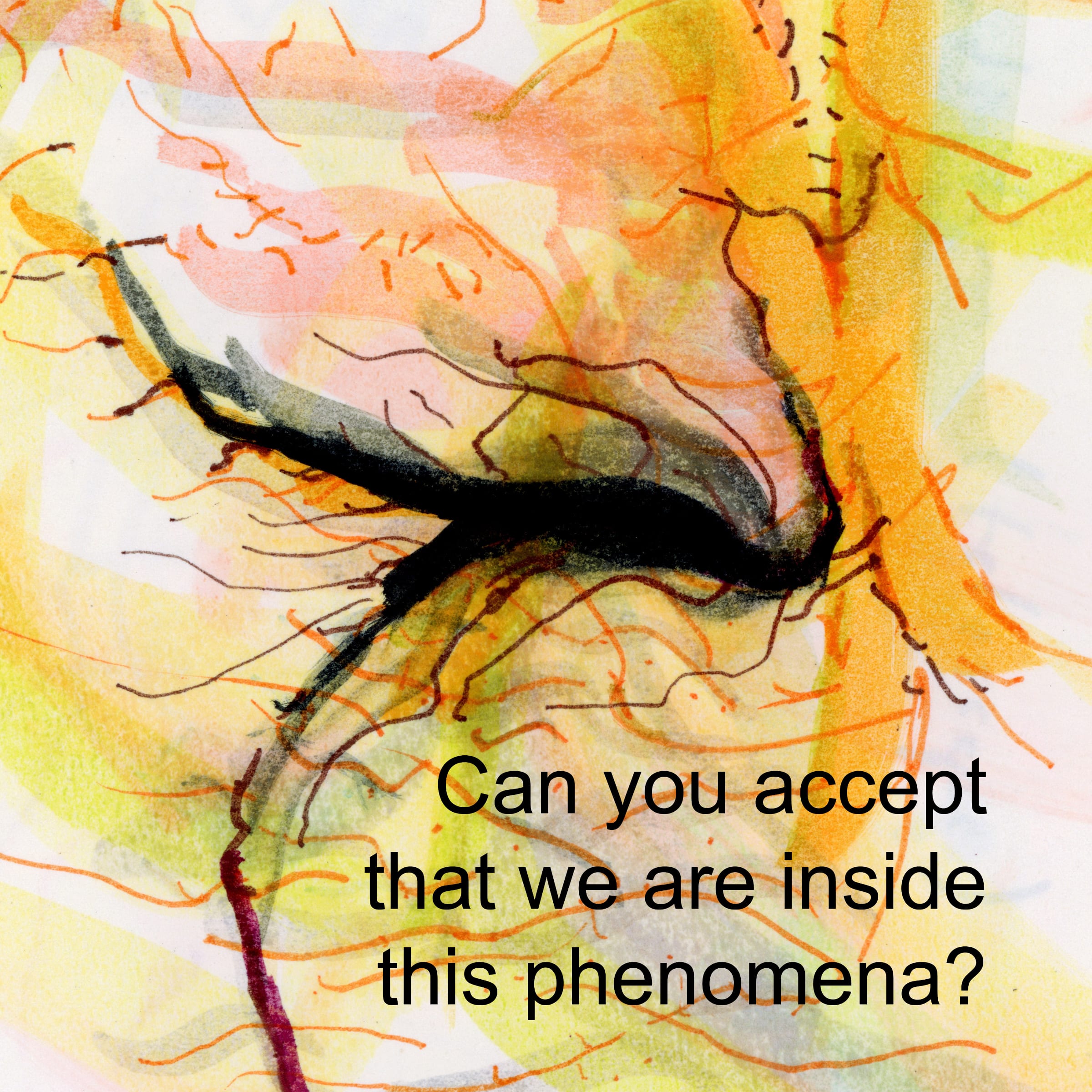 Seeing Voices #26000084