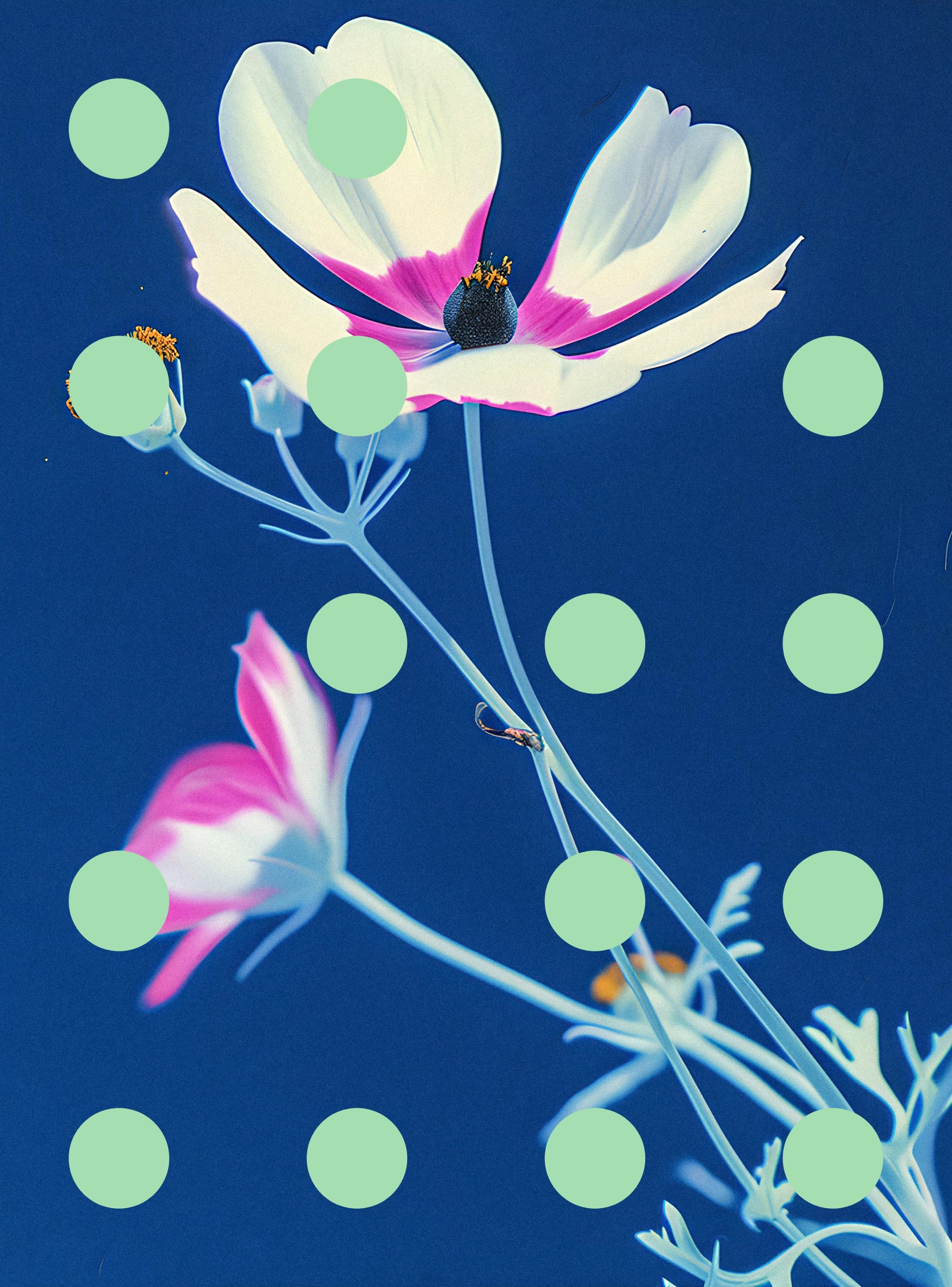 Flore Perdue #29000001