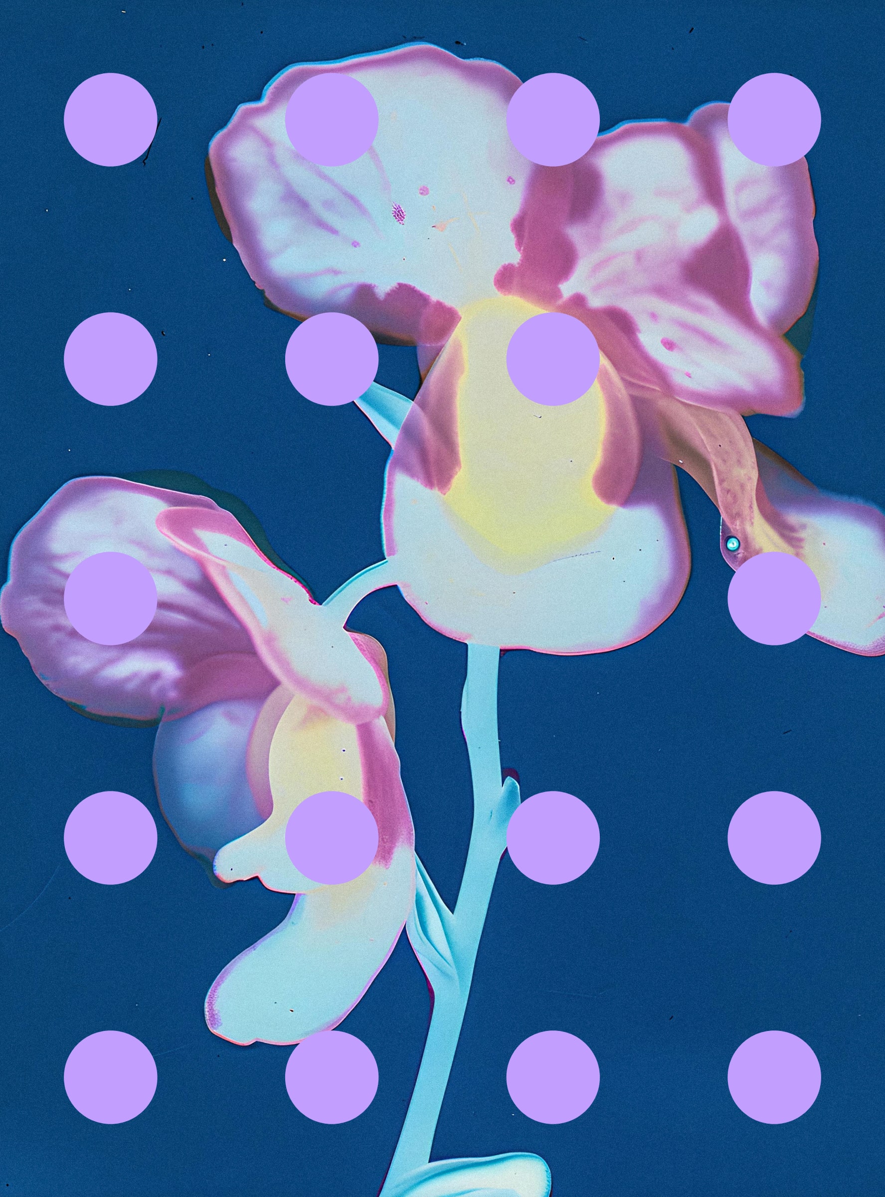 Flore Perdue #29000005