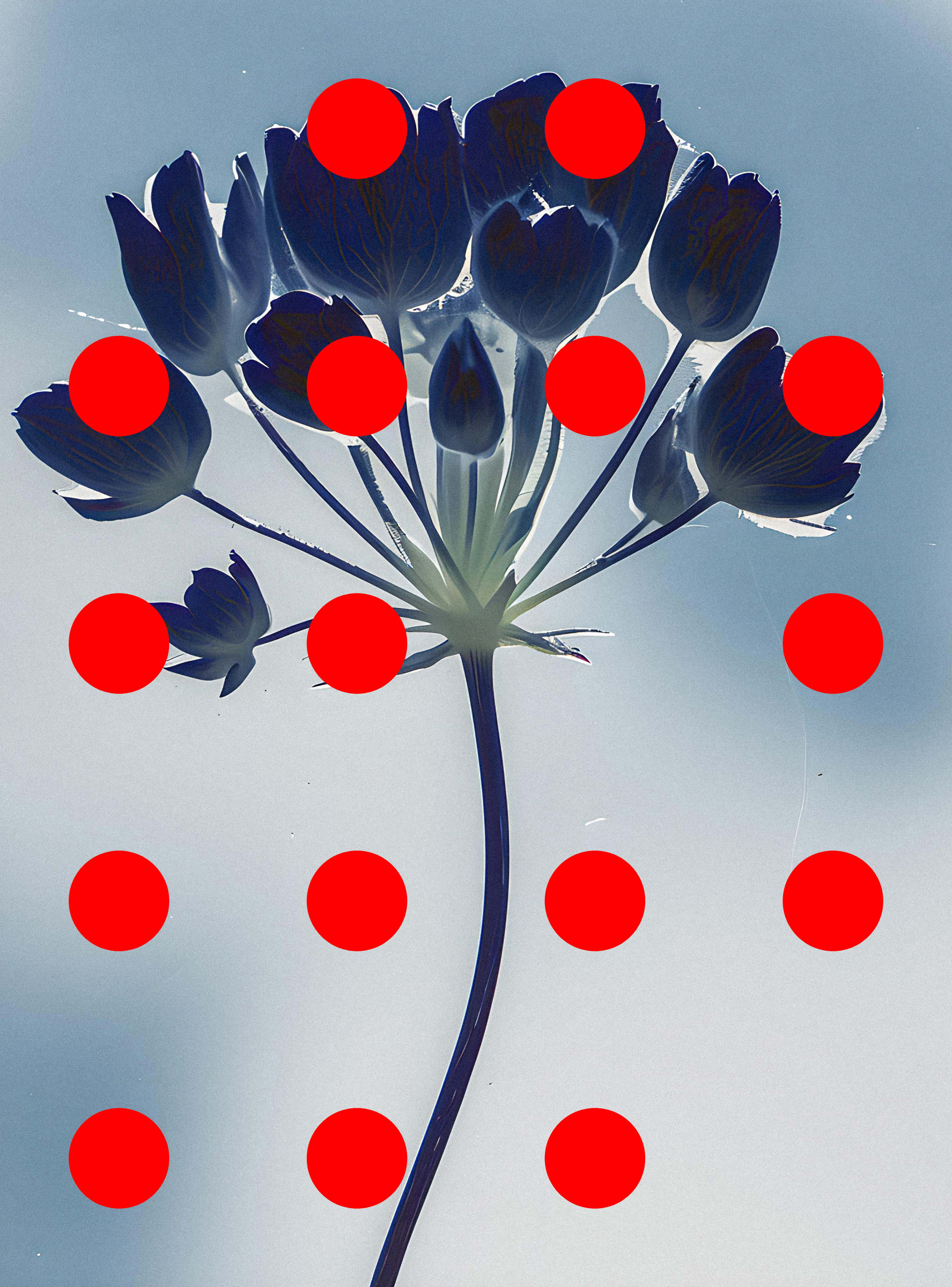 Flore Perdue #29000018